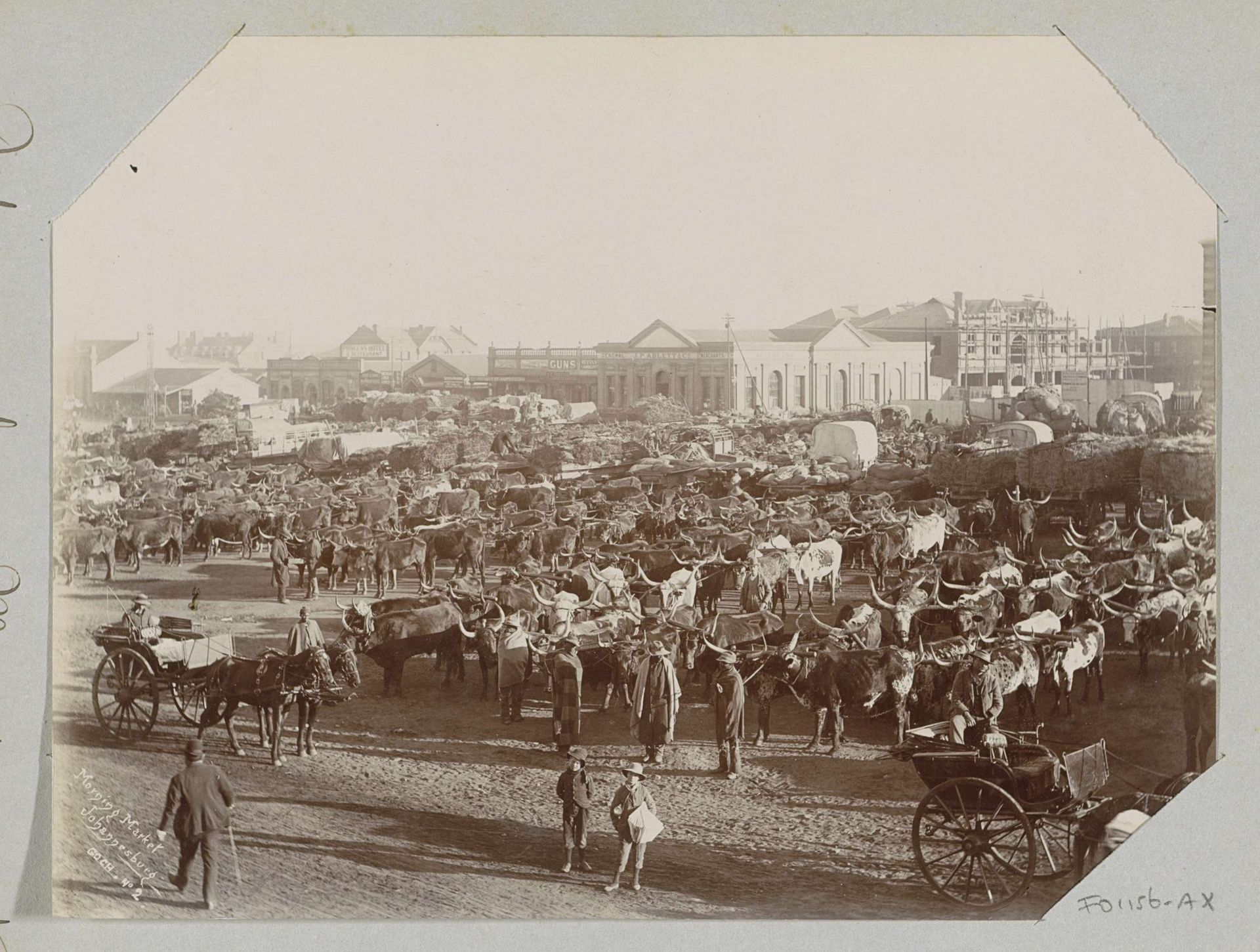 Marktplein met ossen en karren te Johannesburg by James F. Goch