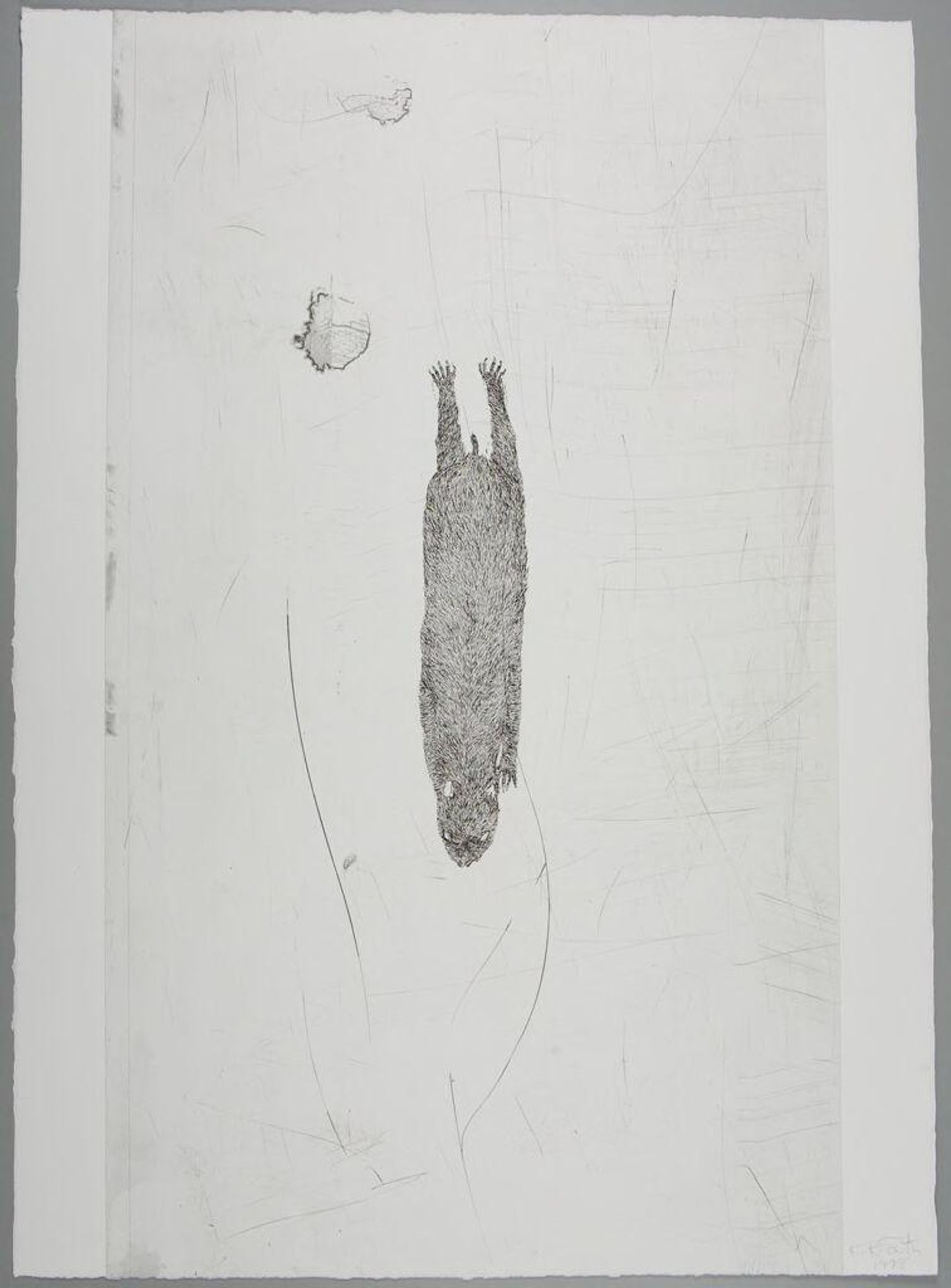 4 of 7 etchings in Porfolio: White Mammals by Kiki Smith