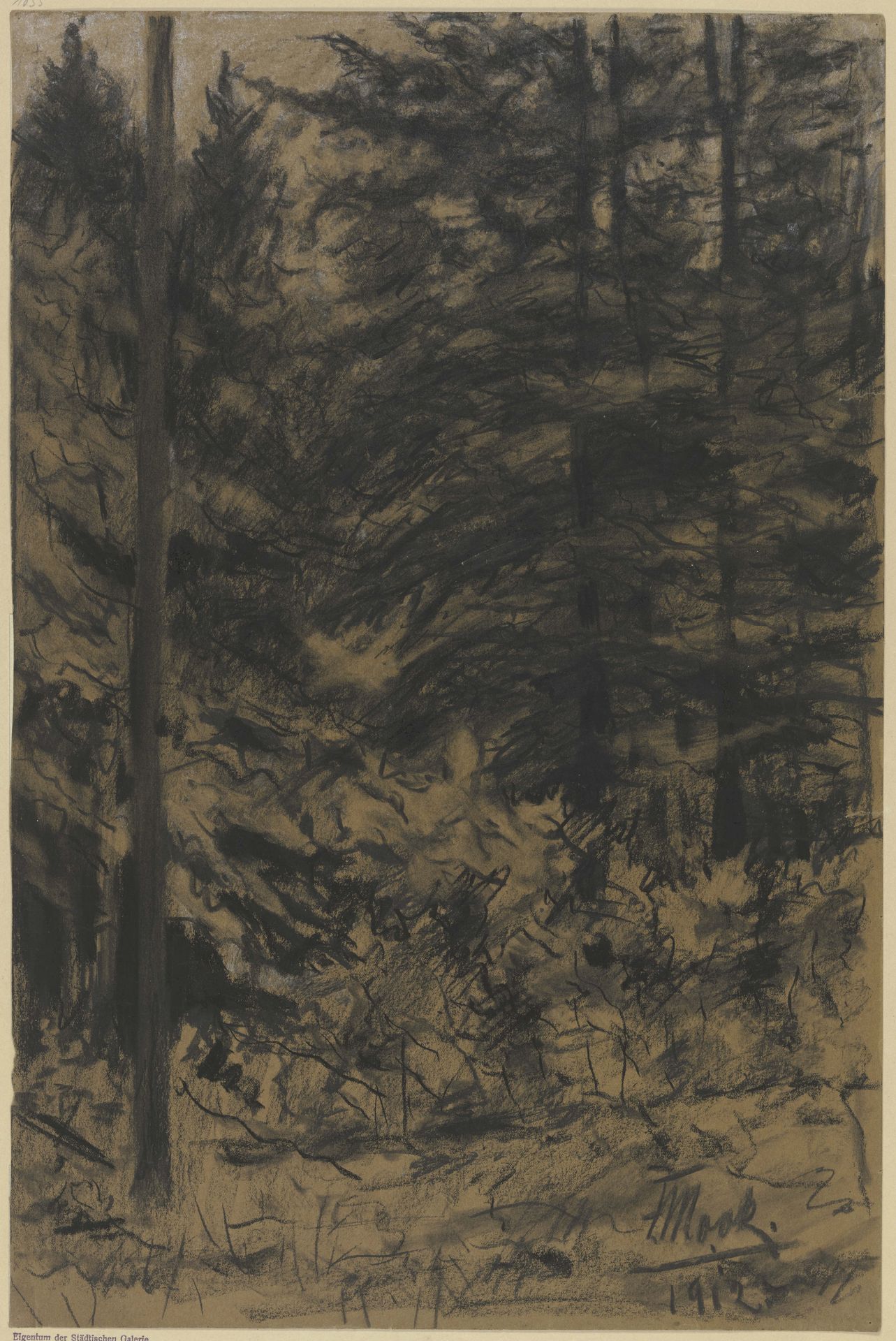 Fir trees by Friedrich Mook