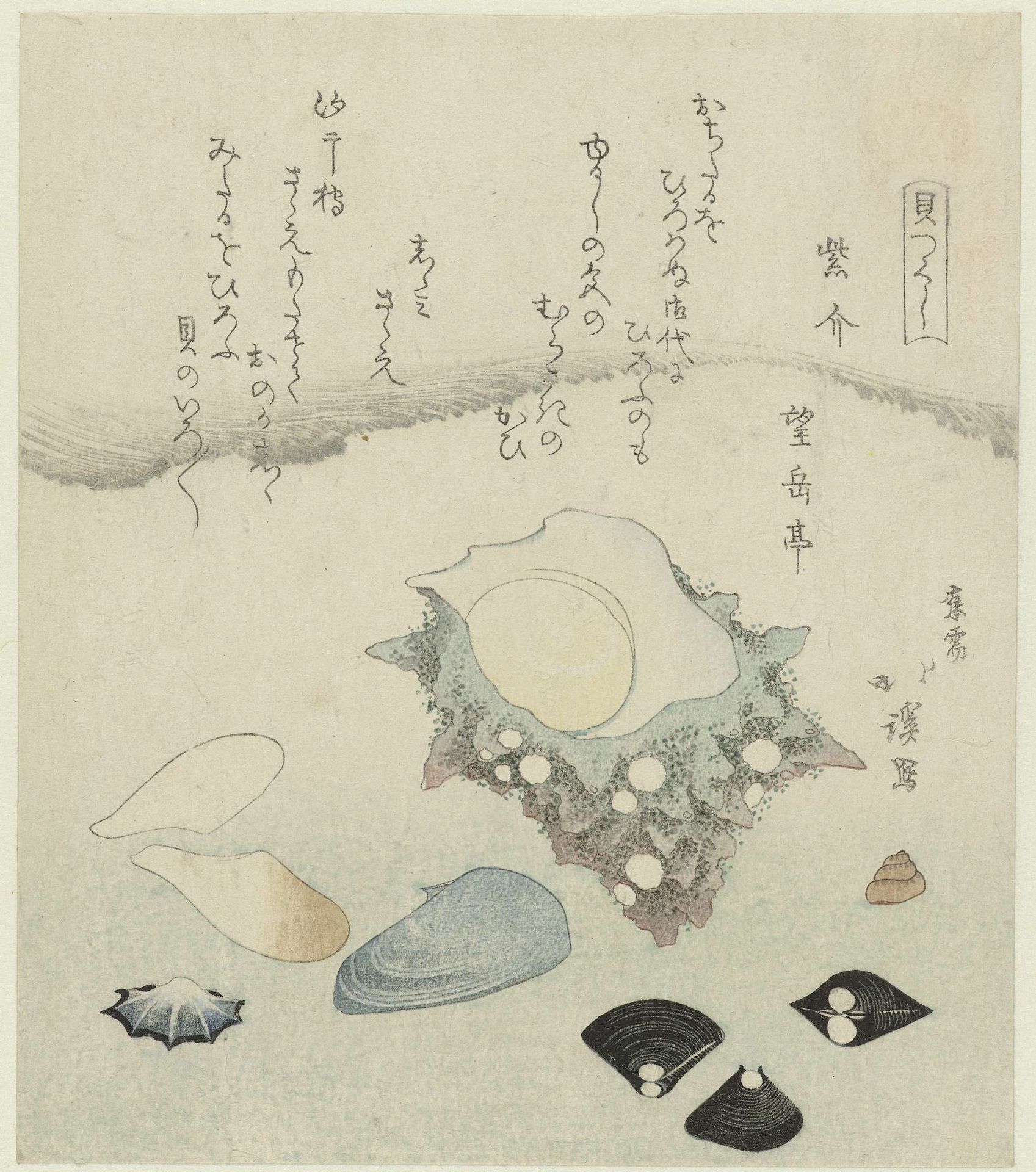 Paarse schelp, zoetwater venusschelpjes en een tulbandschelp by Totoya Hokkei