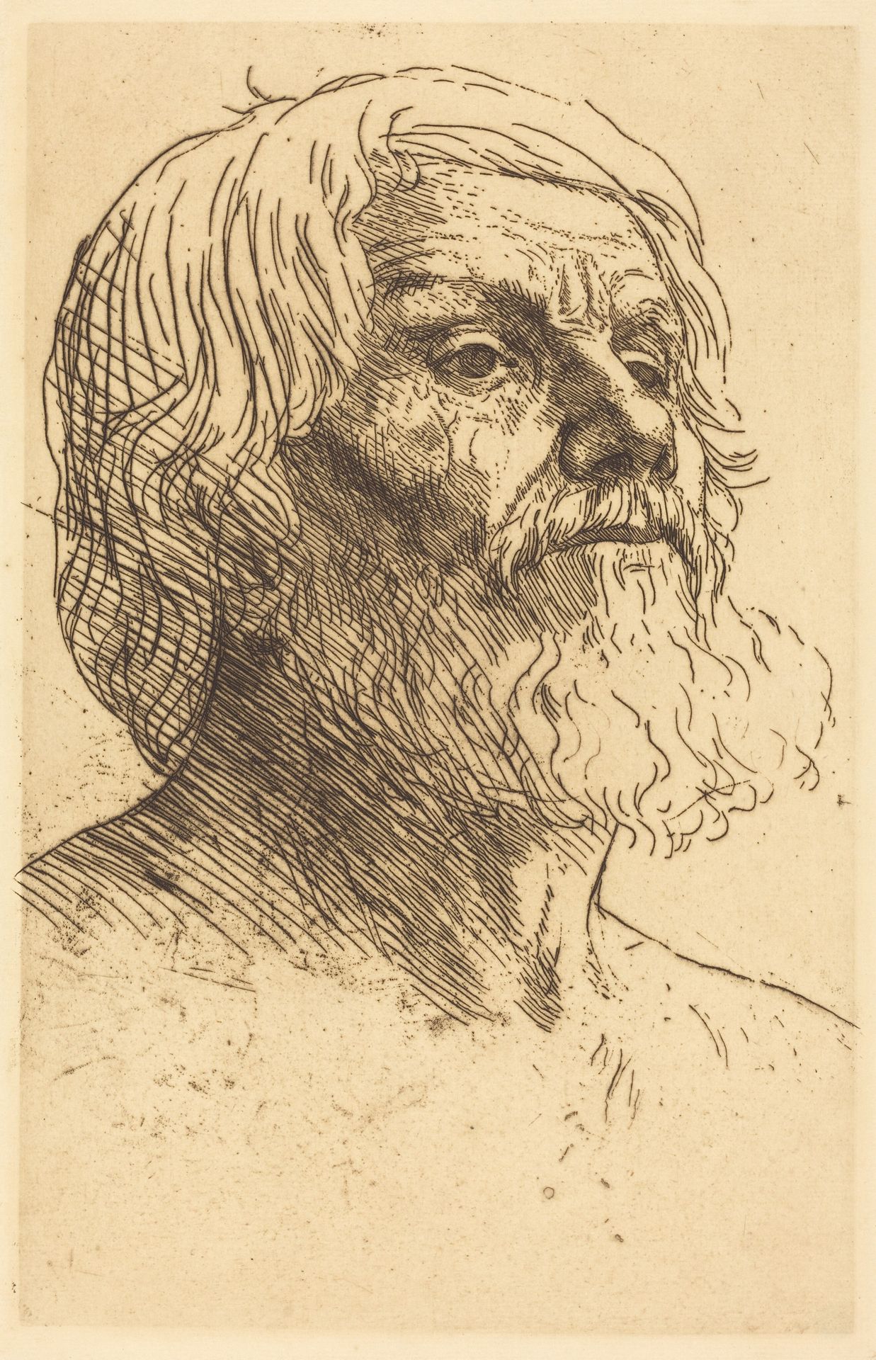 Head of a Man (Tete d'homme) by Alphonse Legros