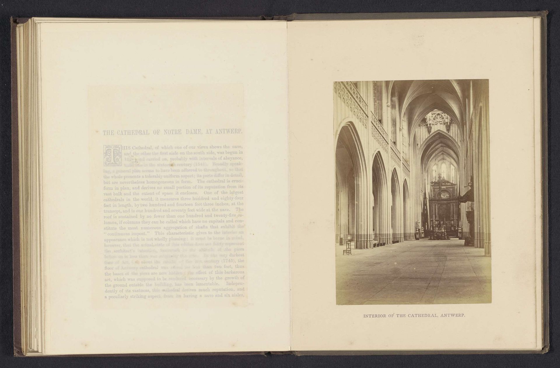 Interior of the cathedral, Antwerp by Cundall & Fleming