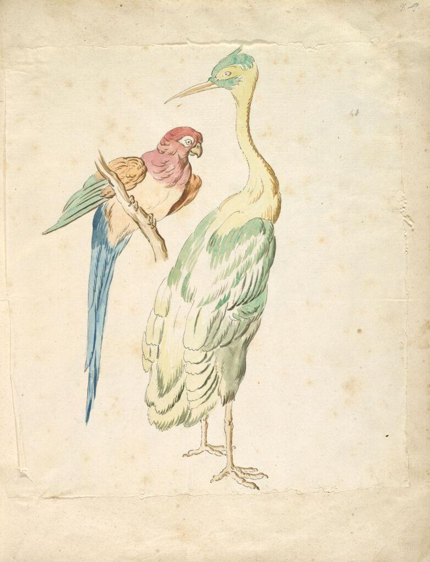 Perched Parrot and Standing Heron; verso: blank by Jean-Baptiste Oudry