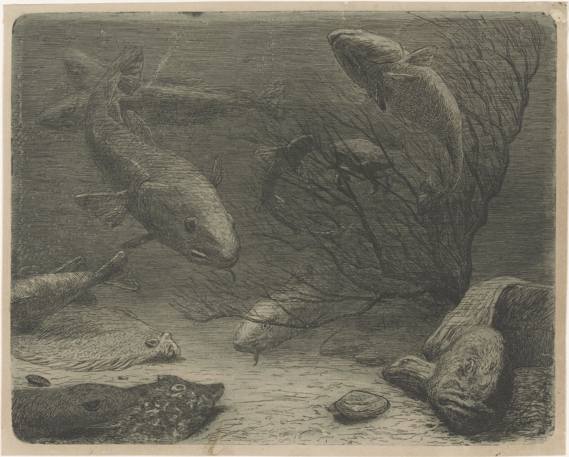 Aquarium by August Le Gras