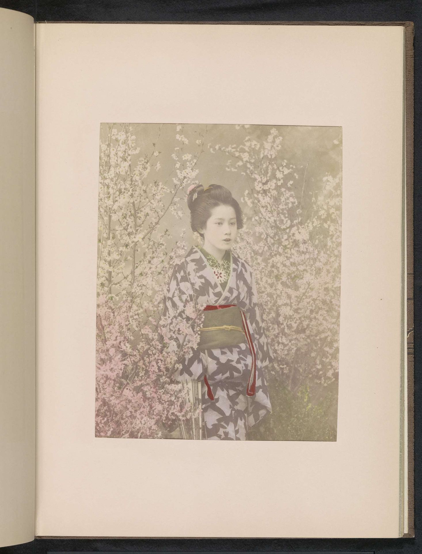Portret van een geisha tussen kersenbloesem by Kazumasa Ogawa
