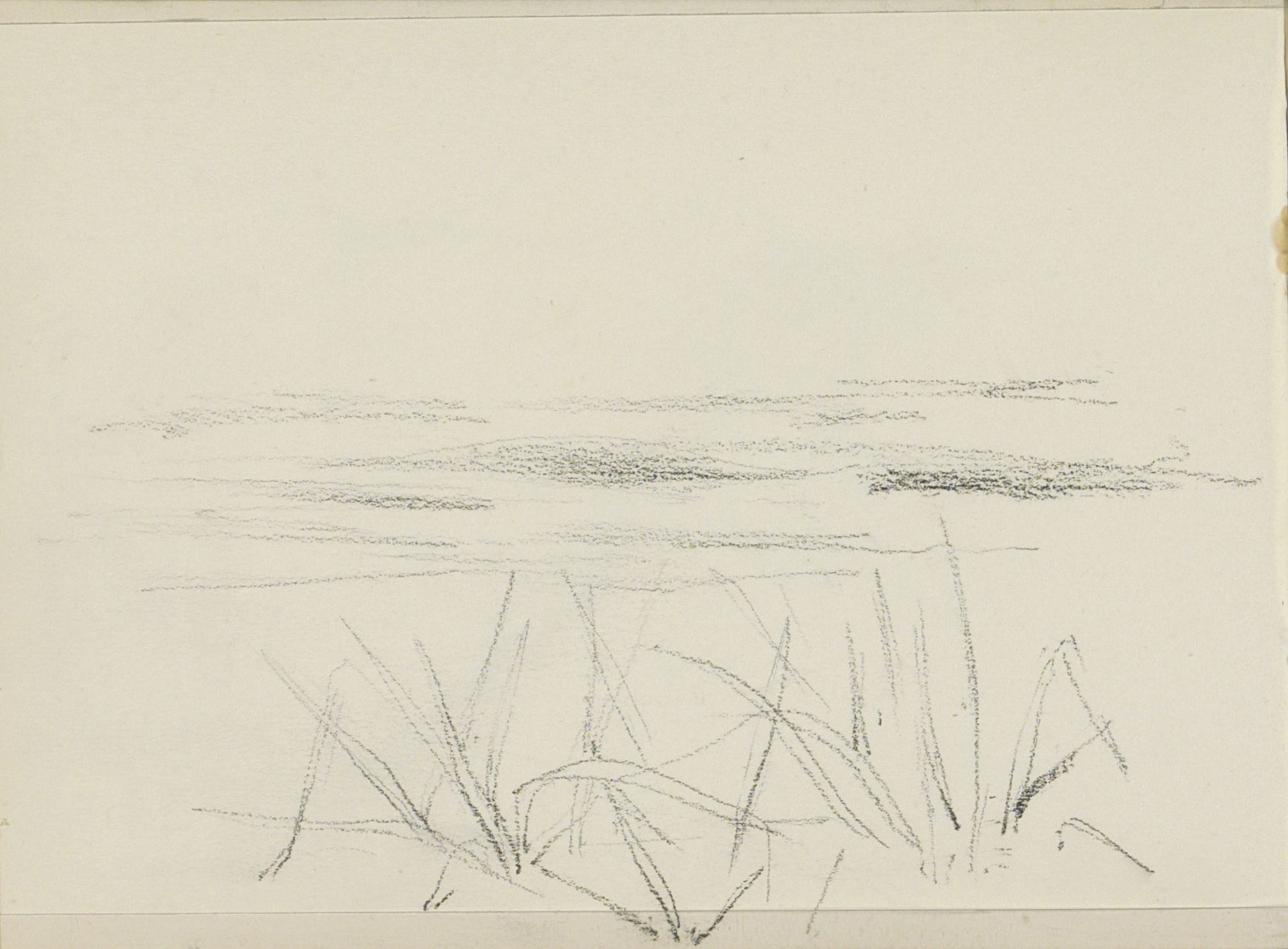 Waterplanten by Bramine Hubrecht