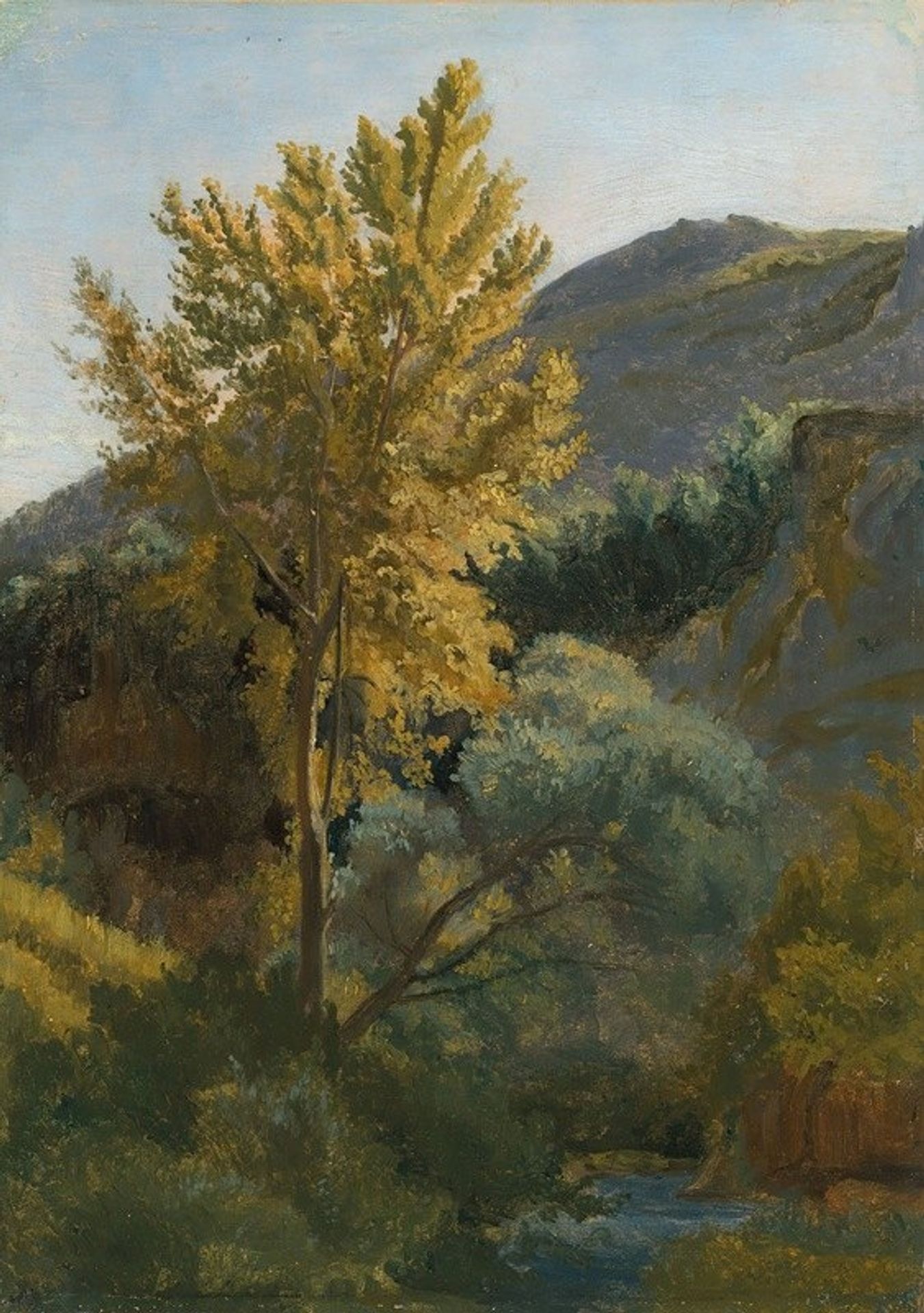 Etude d’arbre près d’un torrent en Italie by Camille Corot