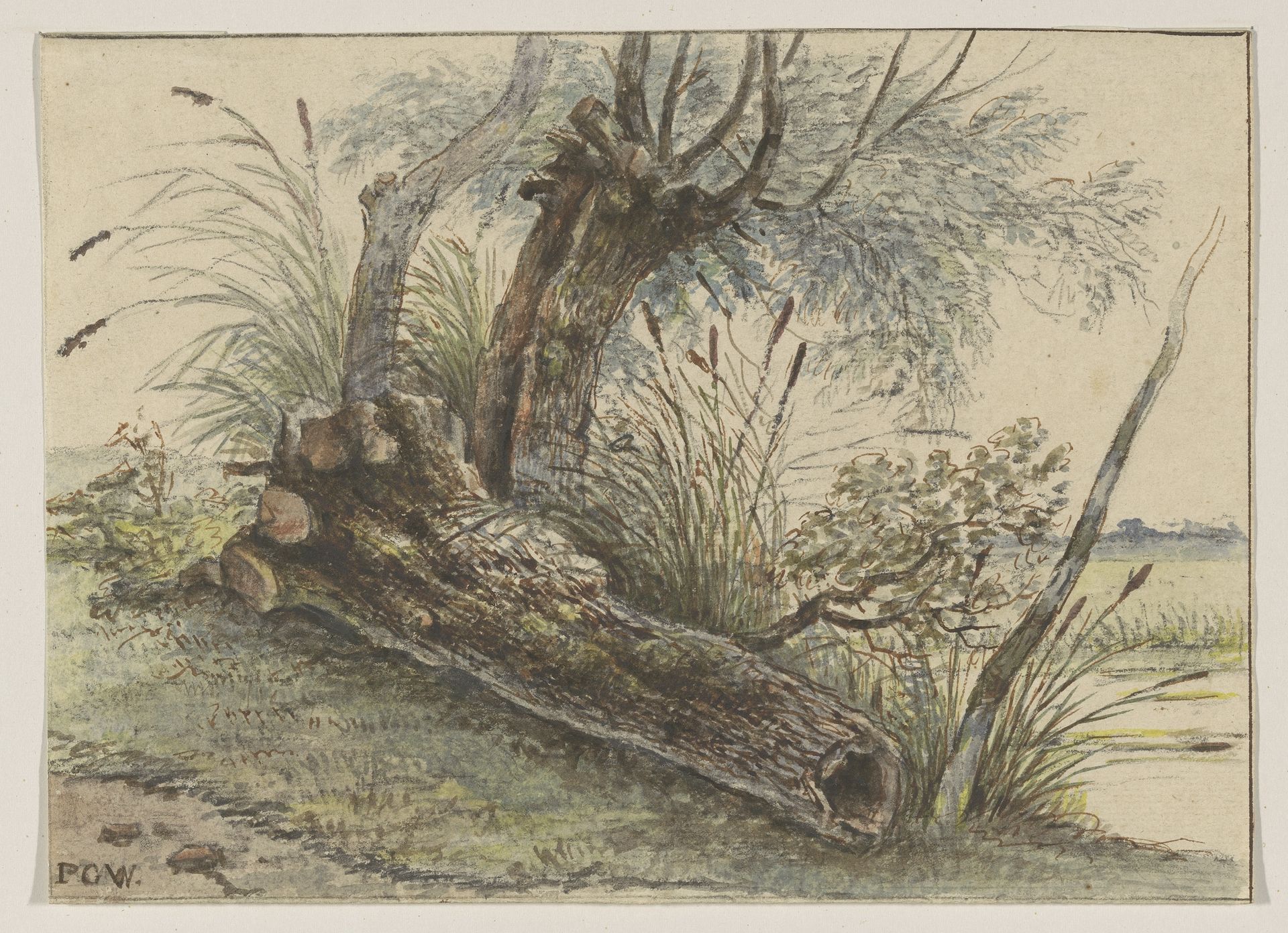 Boomstronk in het riet by Pieter George Westenberg