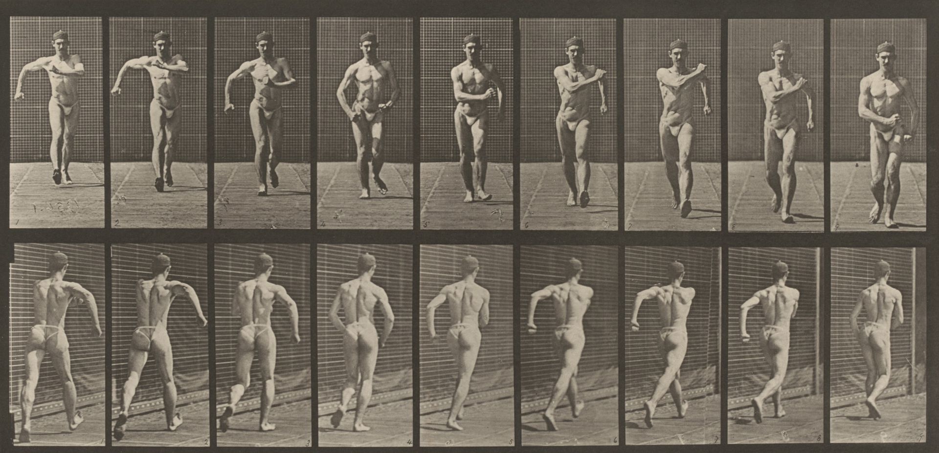 Plate Number 3. Walking by Eadweard Muybridge