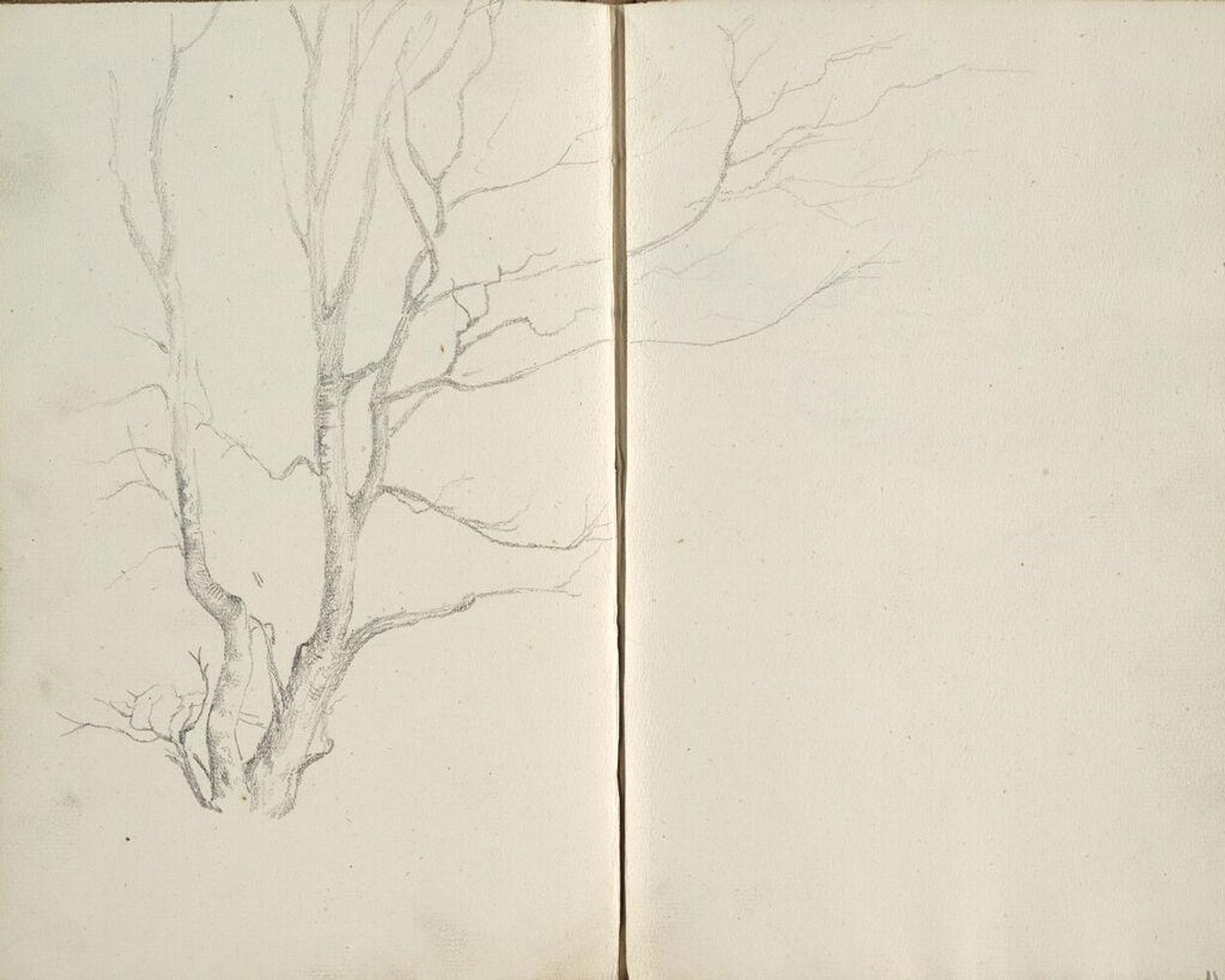 Tree (continues on page 37 verso); verso: Landscape (continues on page 39 recto) by Edward Burne-Jones