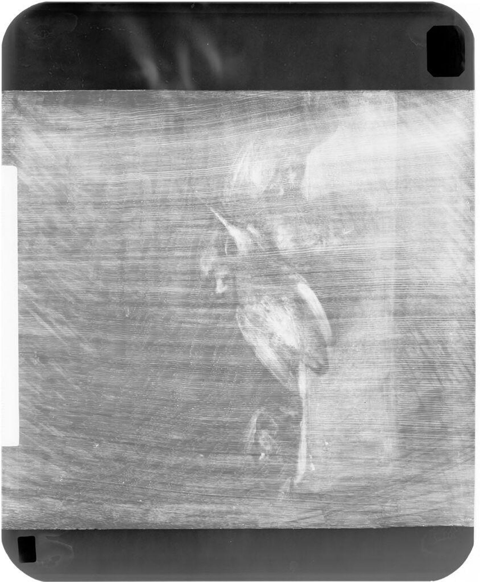 X-radiograph(s) of "Still Life with Birds I (long beak outstretched)" by Artist of original: Jan Vonck