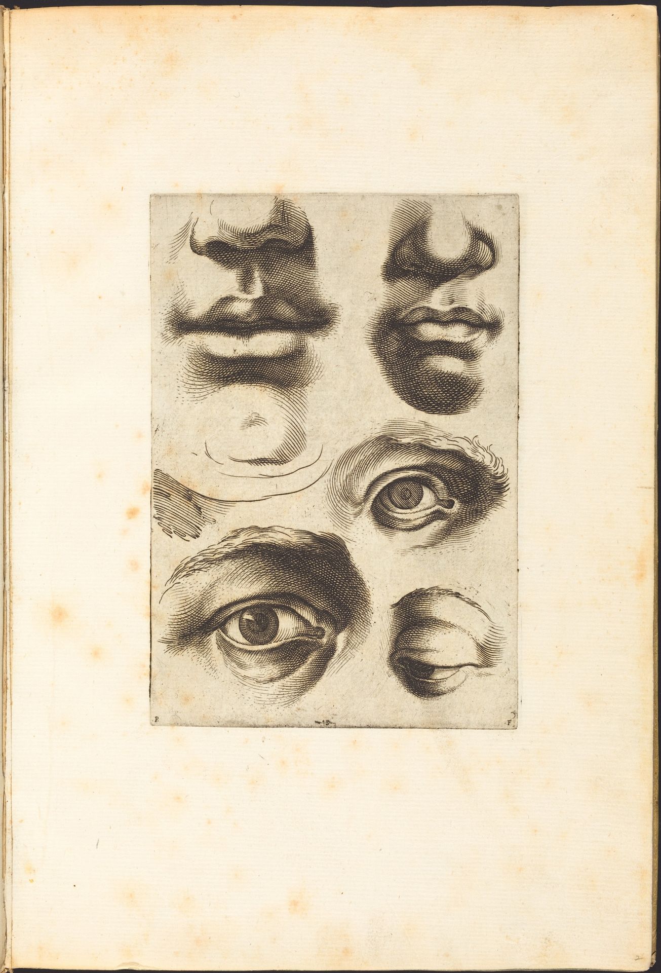 Print from Drawing Book by Luca Ciamberlano
