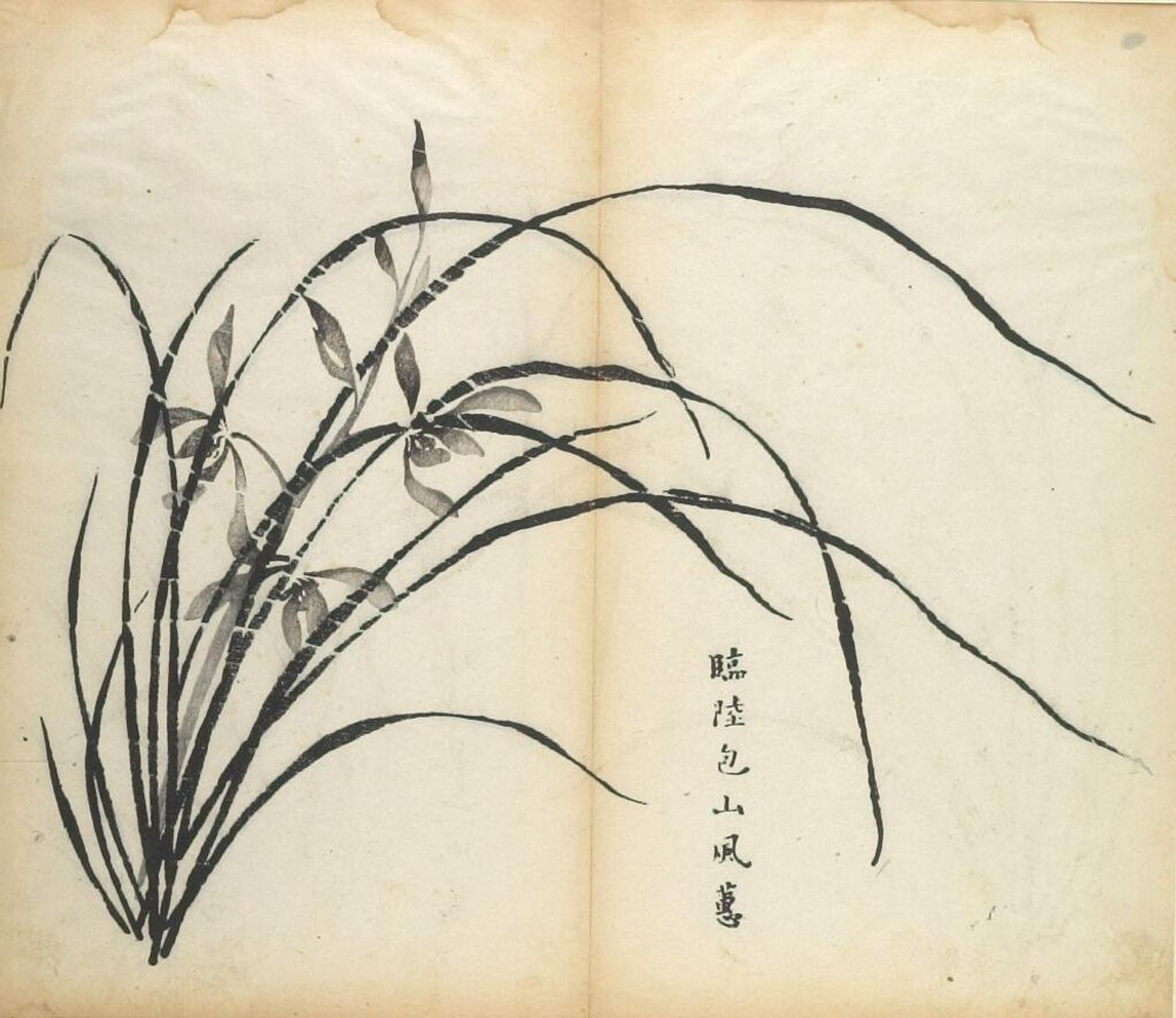 Orchids -- Illustration from the Ten Bamboo Studio Manual of Calligraphy and Painting (Shizhuzhai shuhua pu) by Hu Zhengyan
