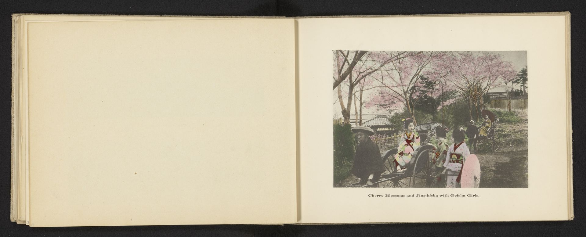 Vier Japanse meisjes gekleed kimono's in riksja's voor kersenbloesems by Kōzaburō Tamamura