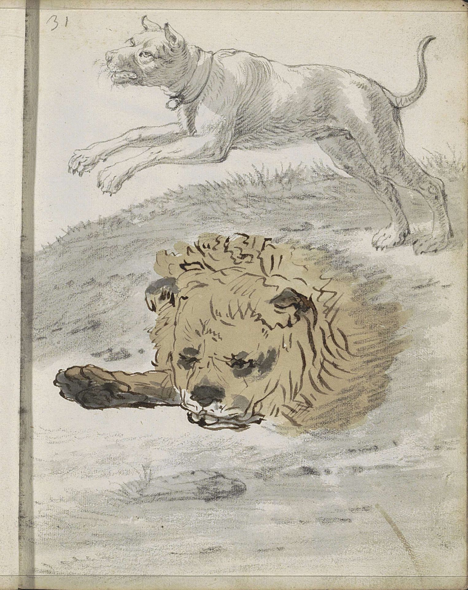 Springende hond en de kop van een leeuw by Cornelis Saftleven