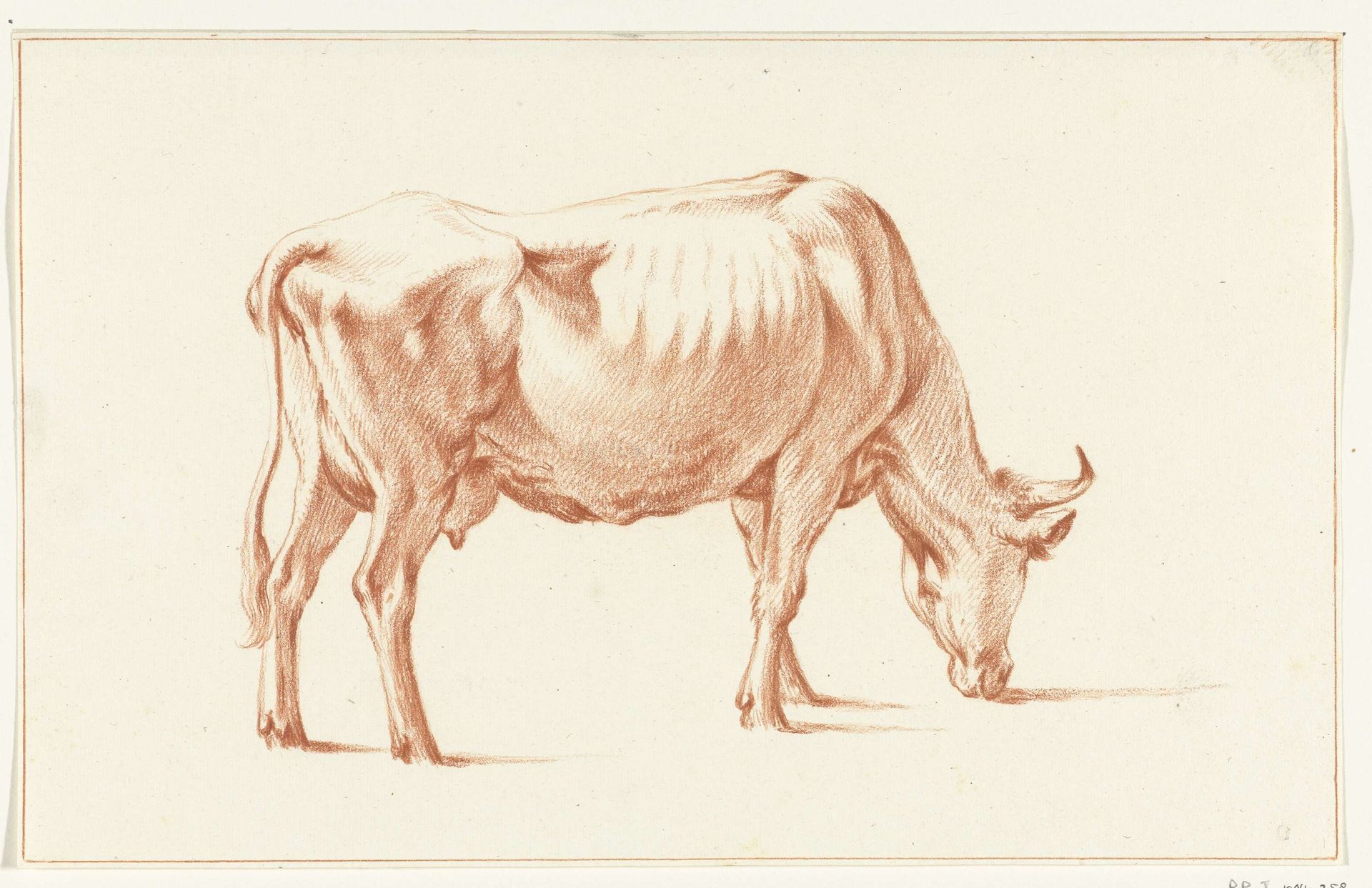 Grazende koe, naar rechts by Jean Bernard