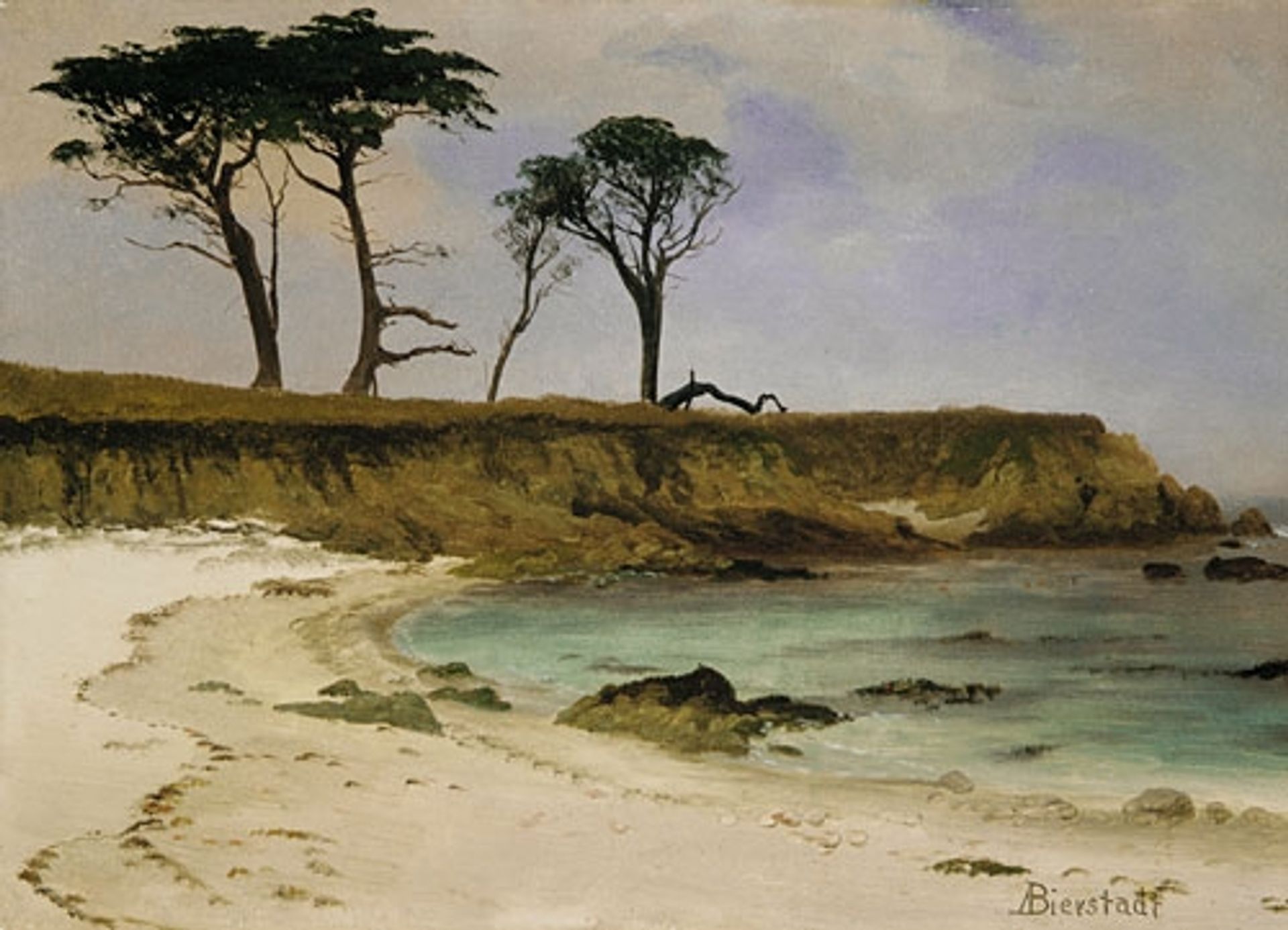 Sea Cove by Albert Bierstadt