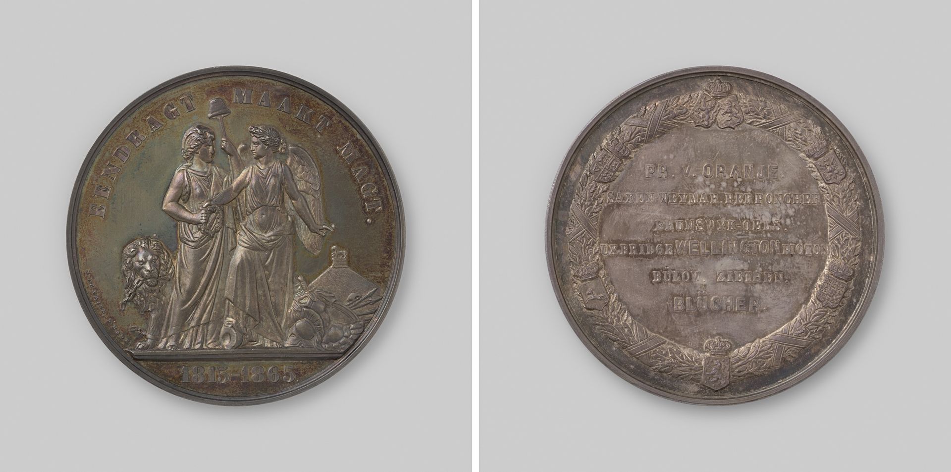 Vijftigjarige herdenking van de slag bij Waterloo by Salomon de Vries