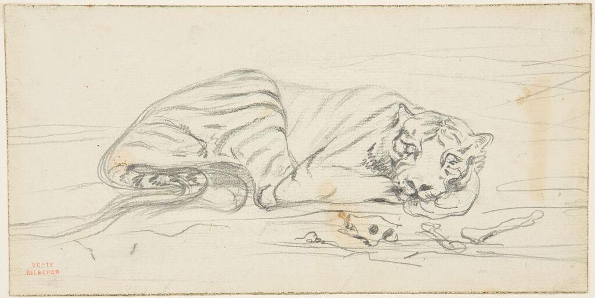 A Tiger Reclining.  verso: A Fragmentary Sketch of Reclining Feline. by Eugène Delacroix