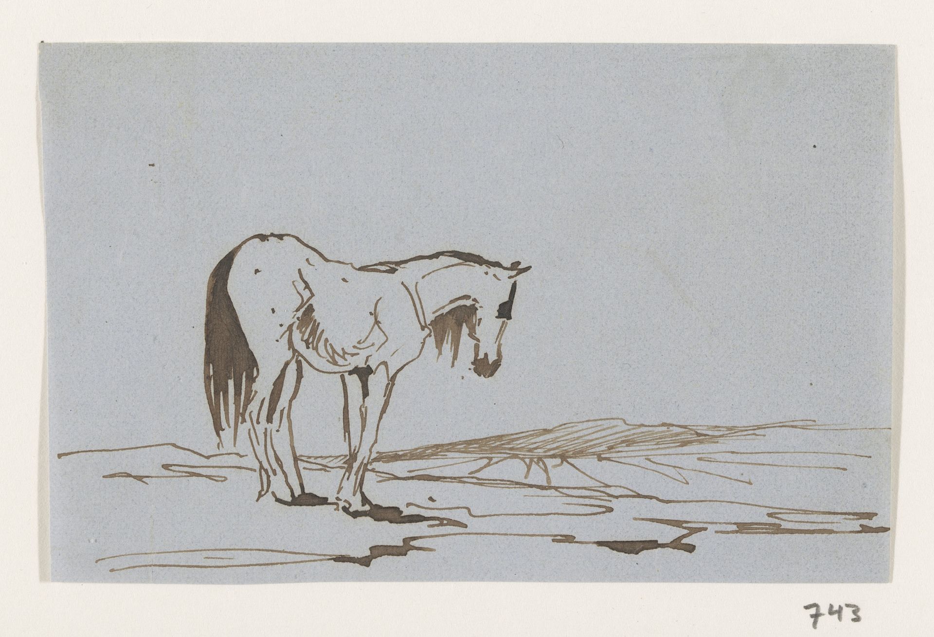 Paard staande in het veld by Johannes Tavenraat