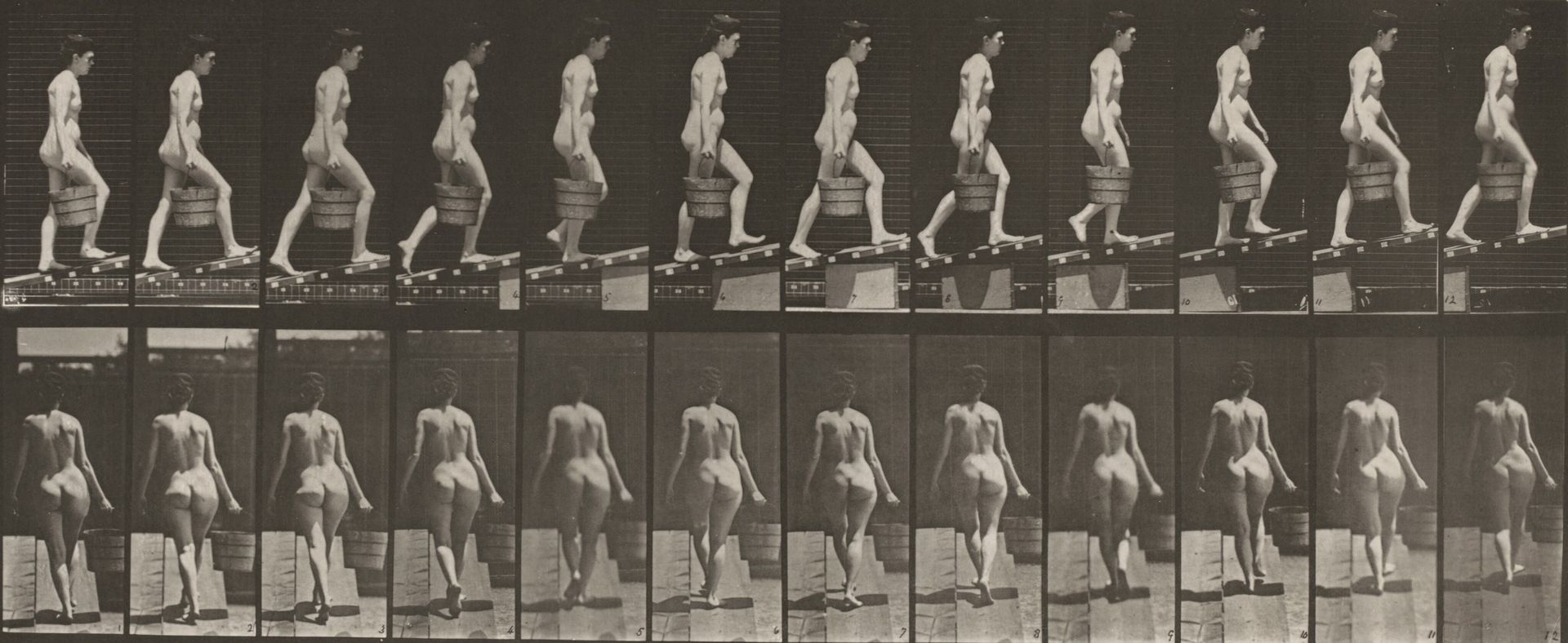 Plate Number 83. Ascending an incline with a bucket of water in right hand by Eadweard Muybridge