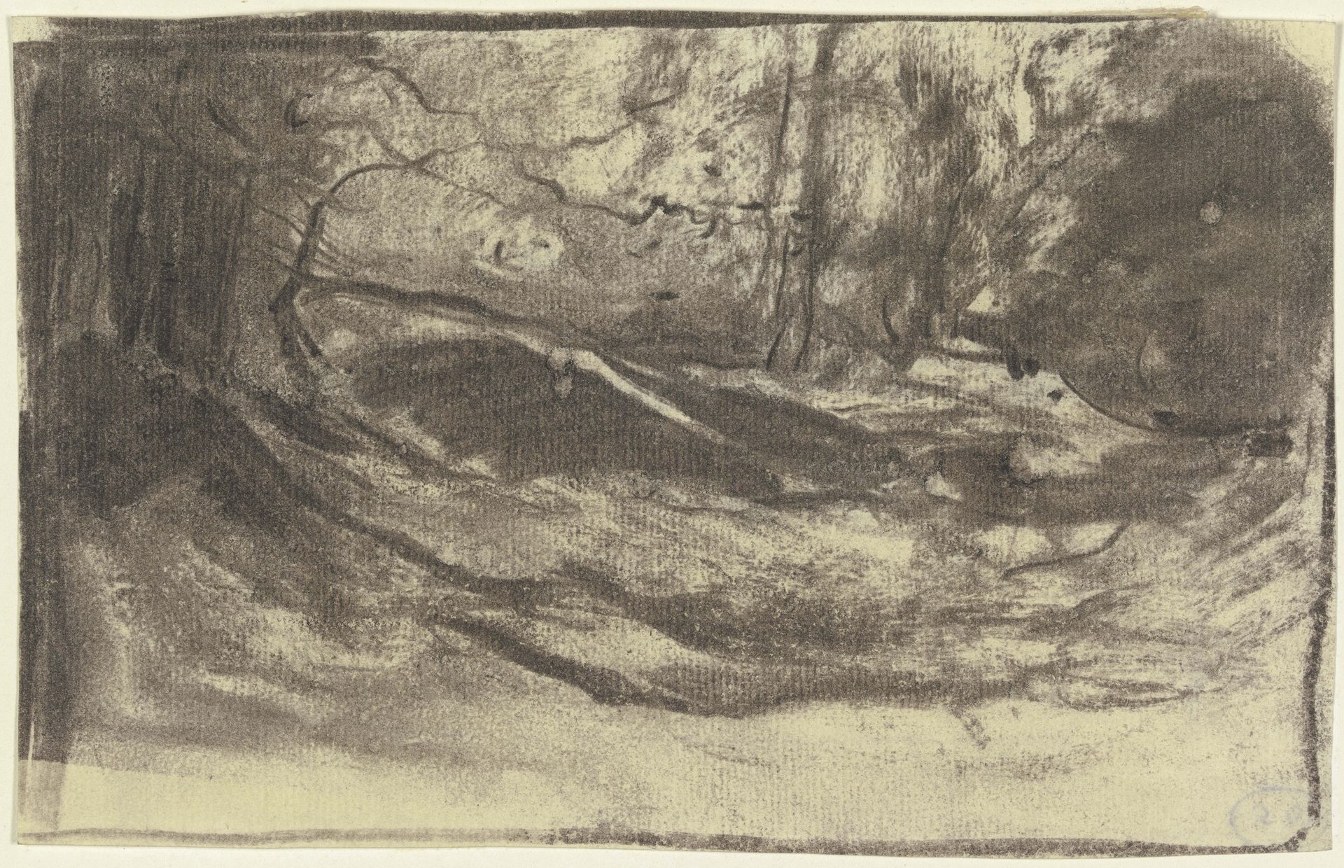 Forest glade by Sion Longley Wenban