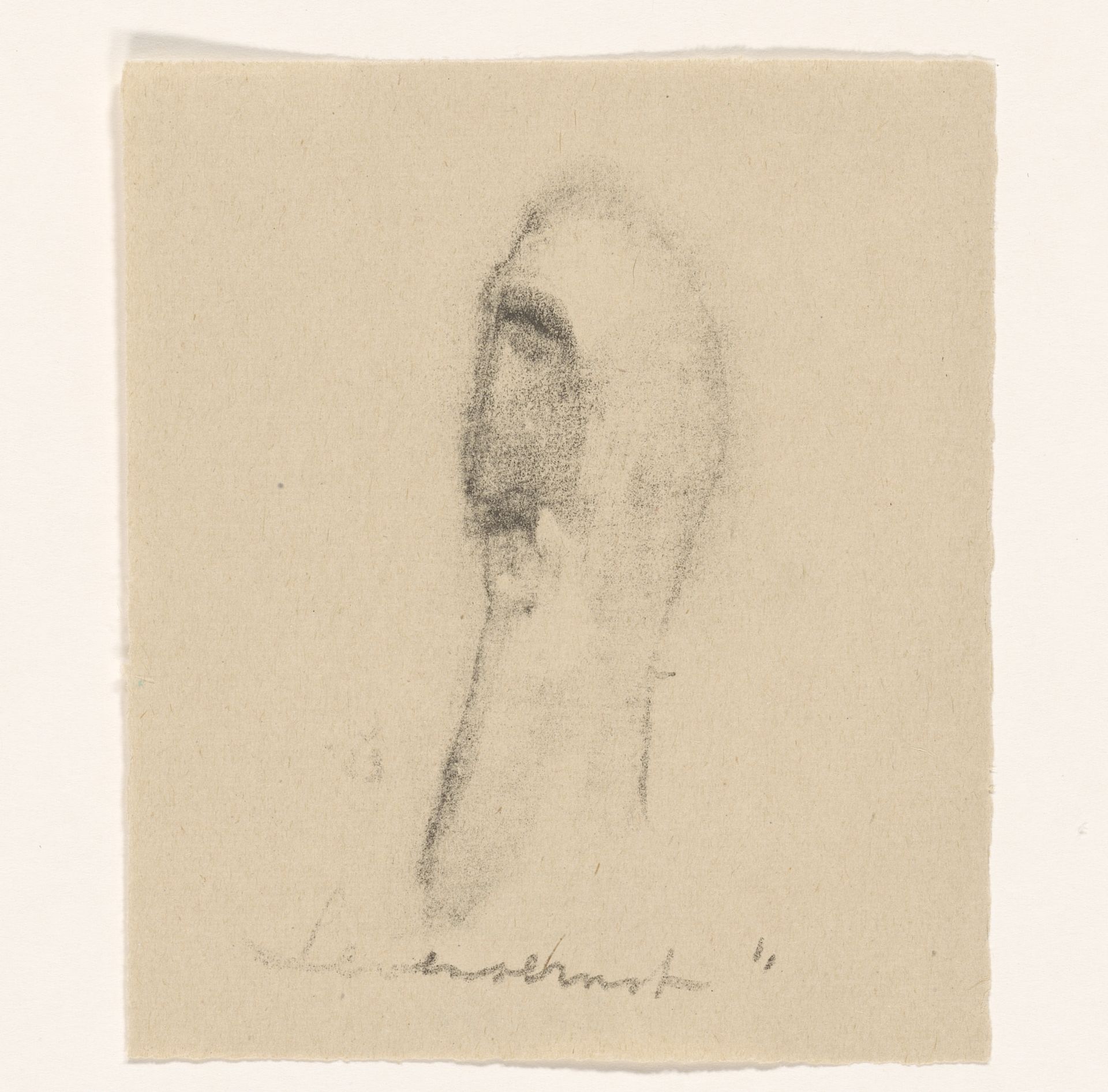 Levensernst by Erich Wichmann
