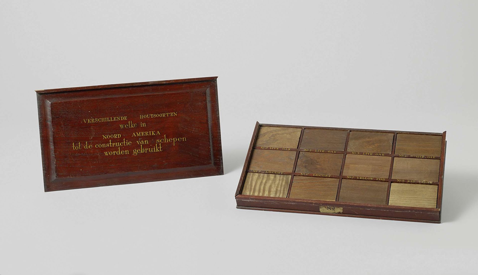 Box Containing Twelve Samples of Wood from North America by August Elize Tromp