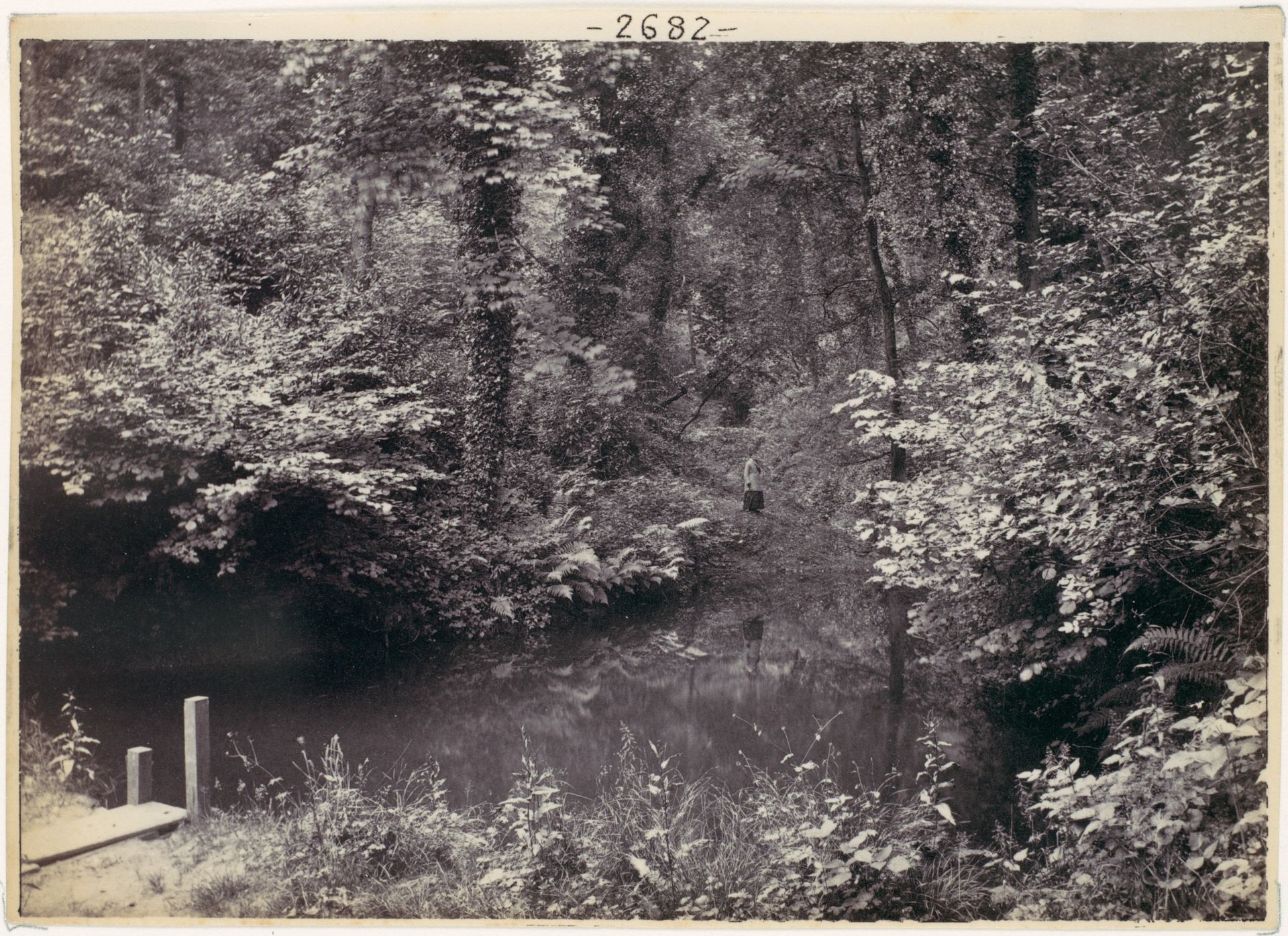 Colwyn Bay. The Pool in the Wood by Francis Bedford