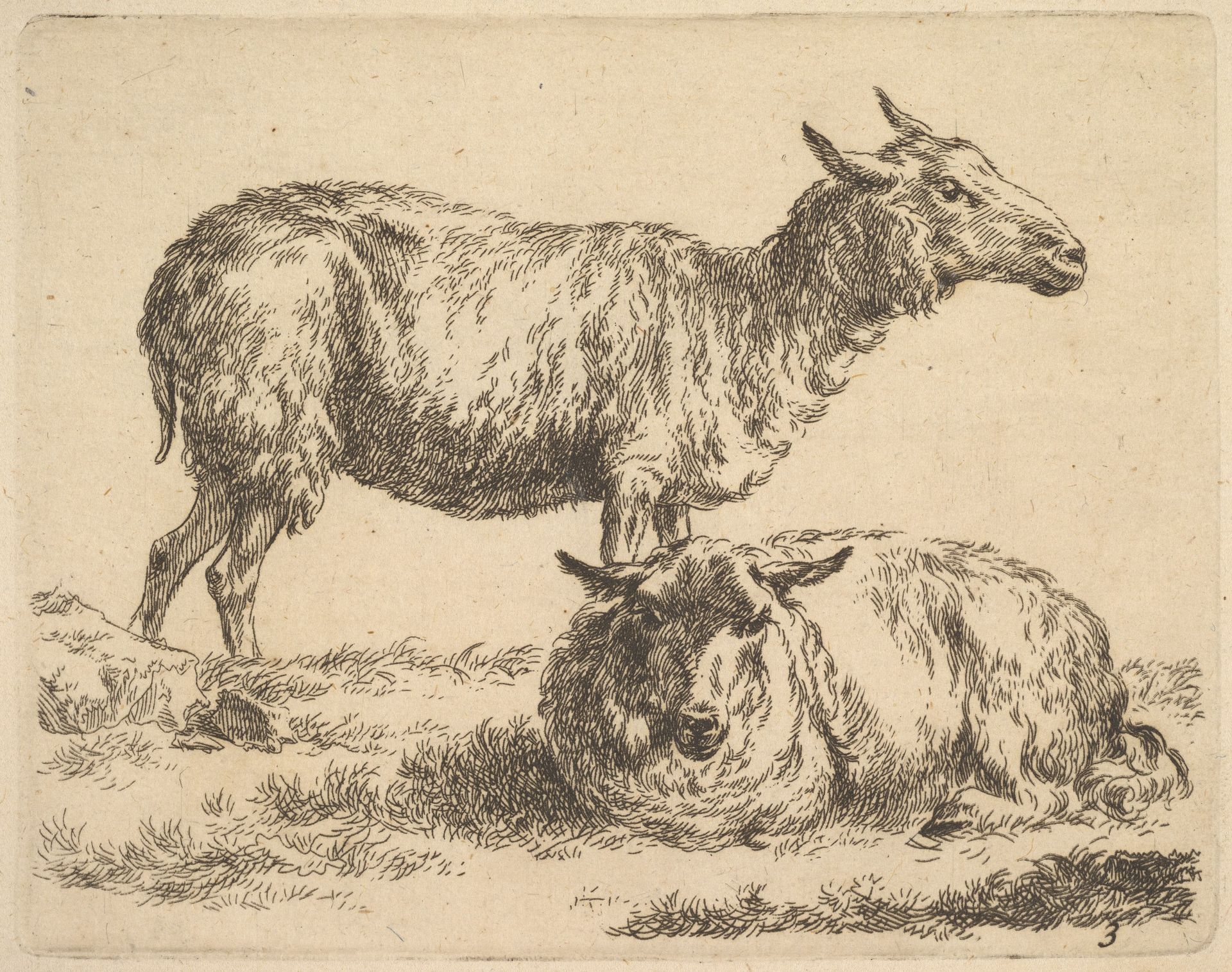 from The Set of Sheep by Nicolaes Berchem