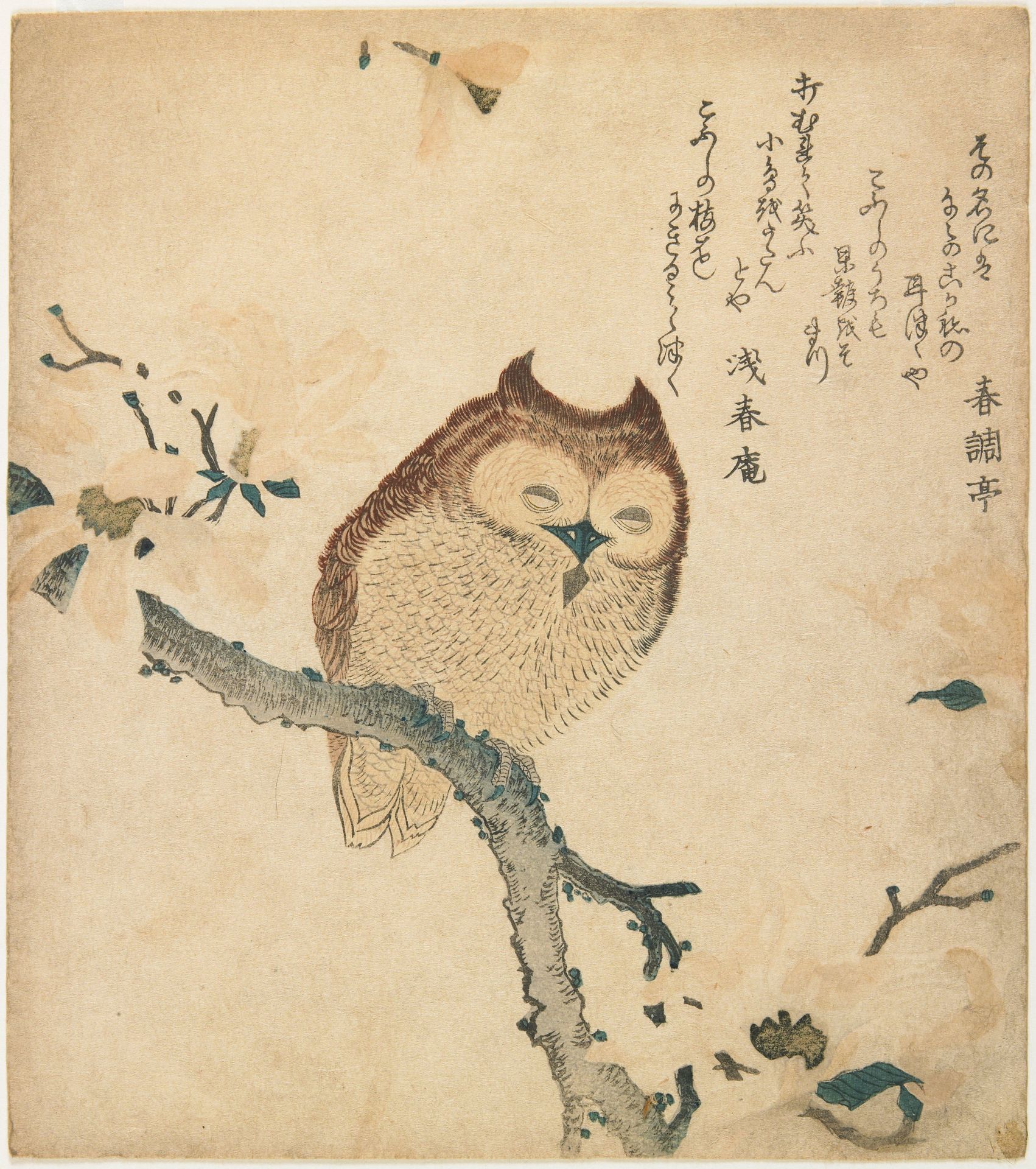 Horned Owl on Flowering Branch by Kubo Shunman
