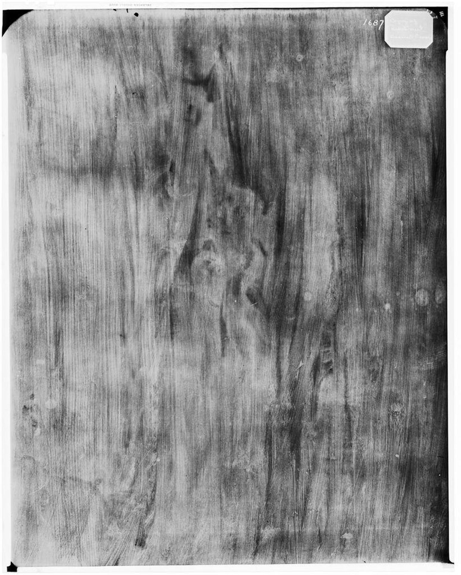 X-radiograph(s) of "Male Portrait" by Artist of original: (?) Juan Bautista MartÃ­nez del Mazo