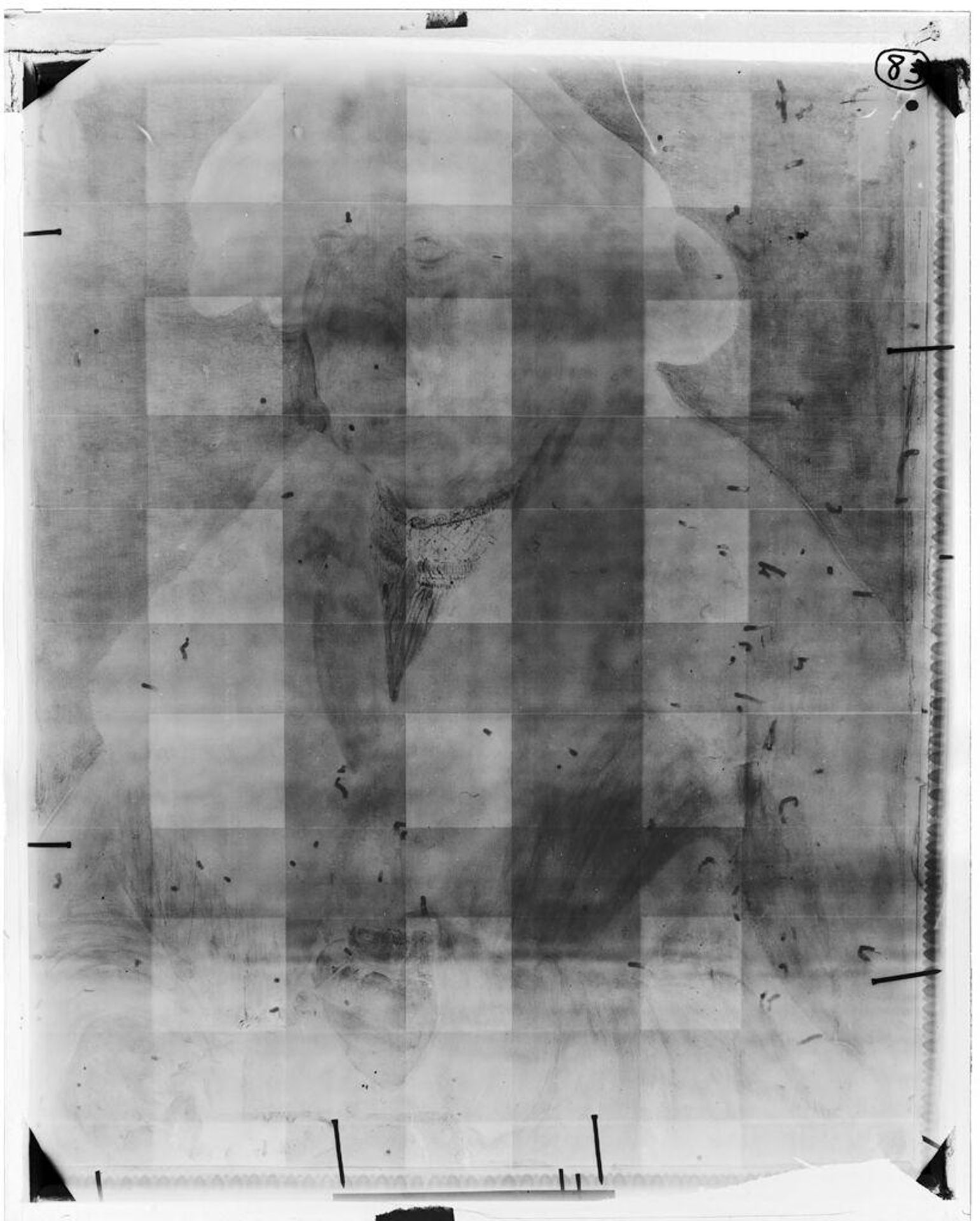 X-radiograph(s) of "Male Portrait" by Artist of original: Hans Baldung Grien