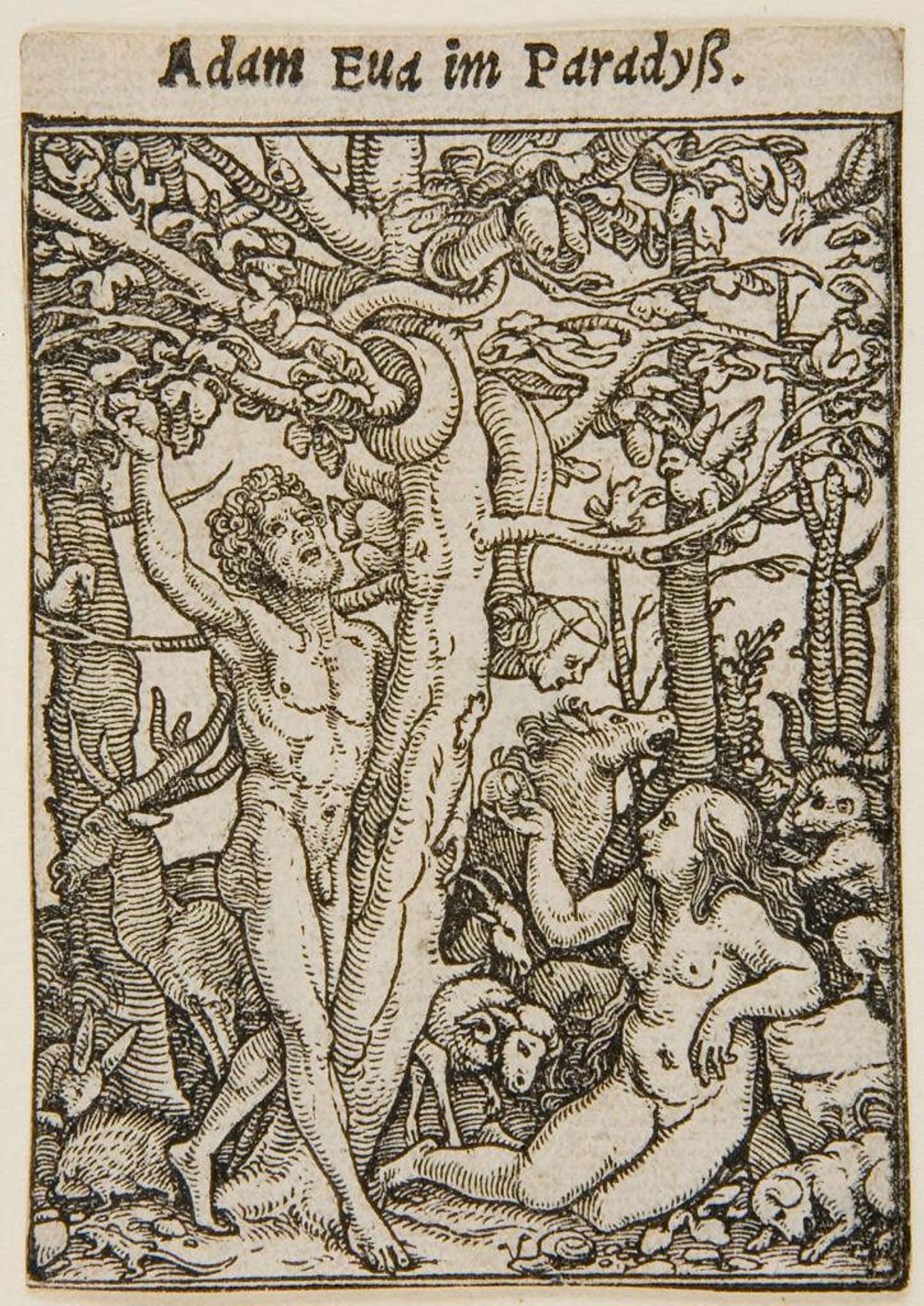 Adam and Eve in the Garden of Eden by Hans Holbein the Younger