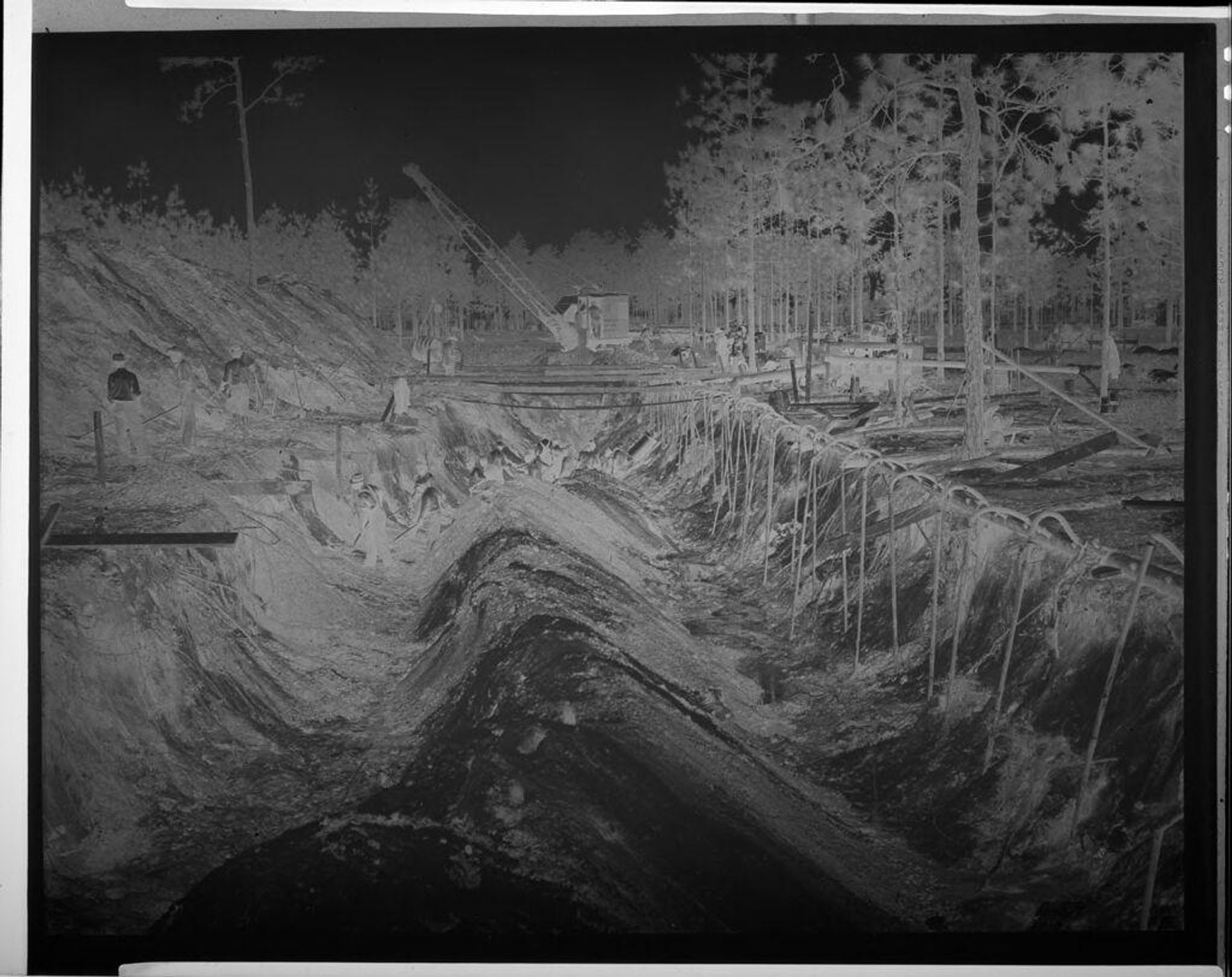Untitled (workmen digging ditch) by Harris & Ewing