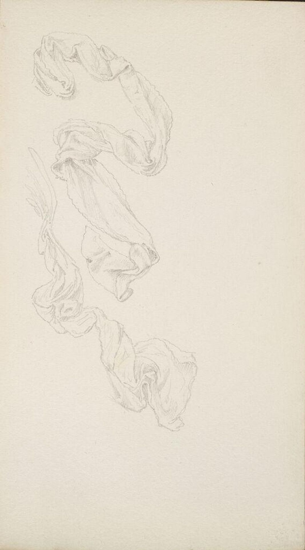 Drapery Study; verso: blank by Edward Burne-Jones