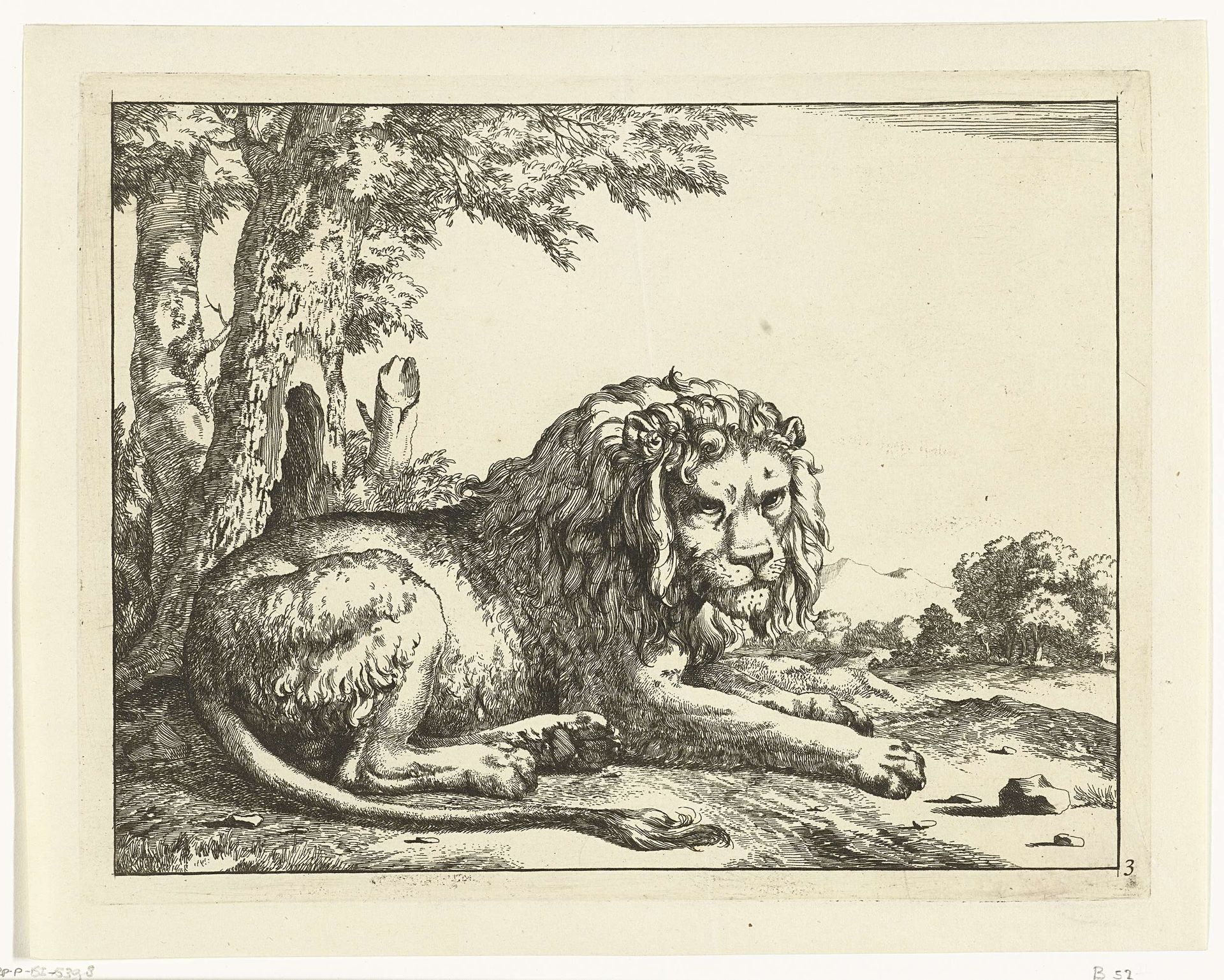 Liggende leeuw de staart op de voorgrond by Marcus de Bye