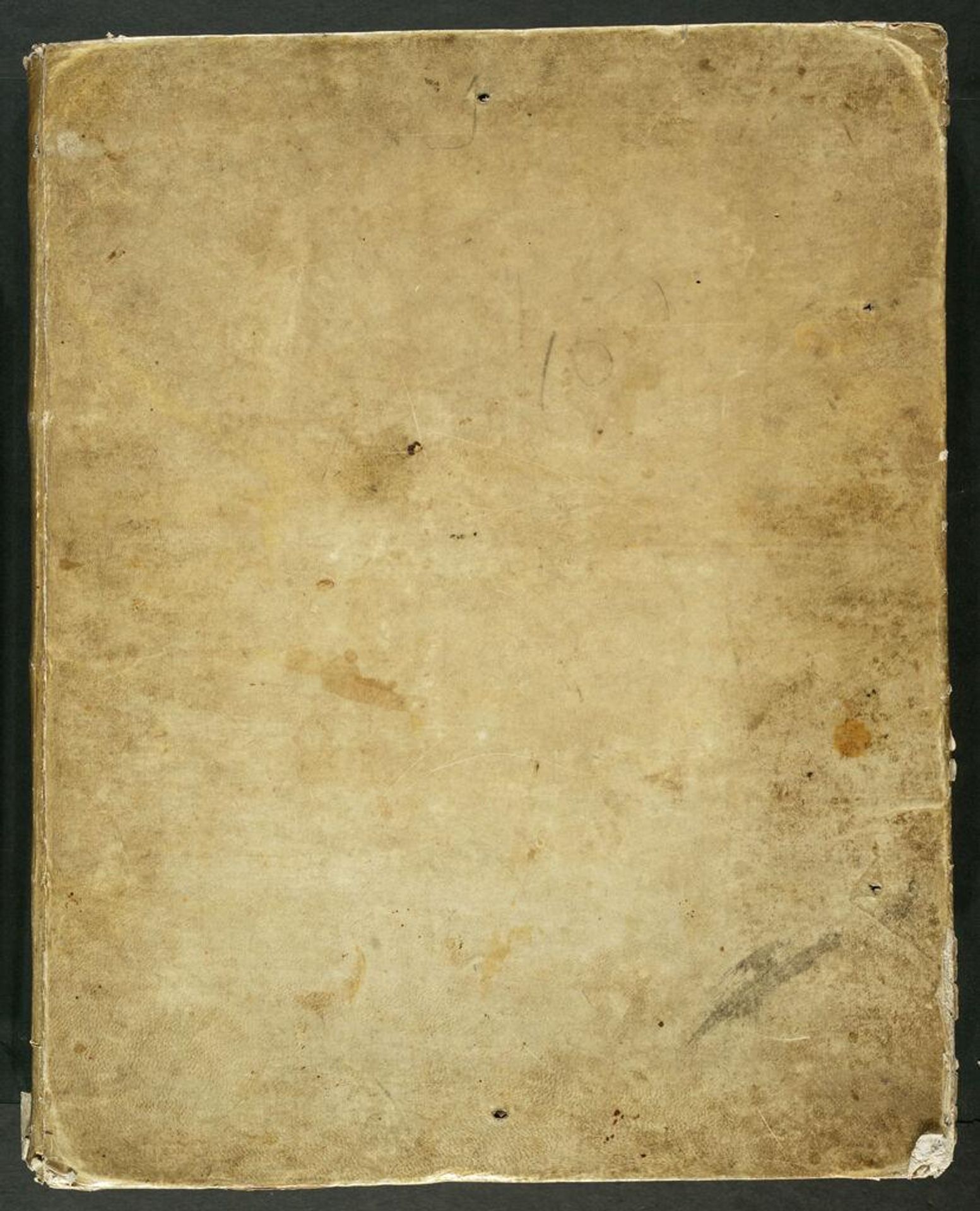 Avian Album by Jean-Baptiste Oudry