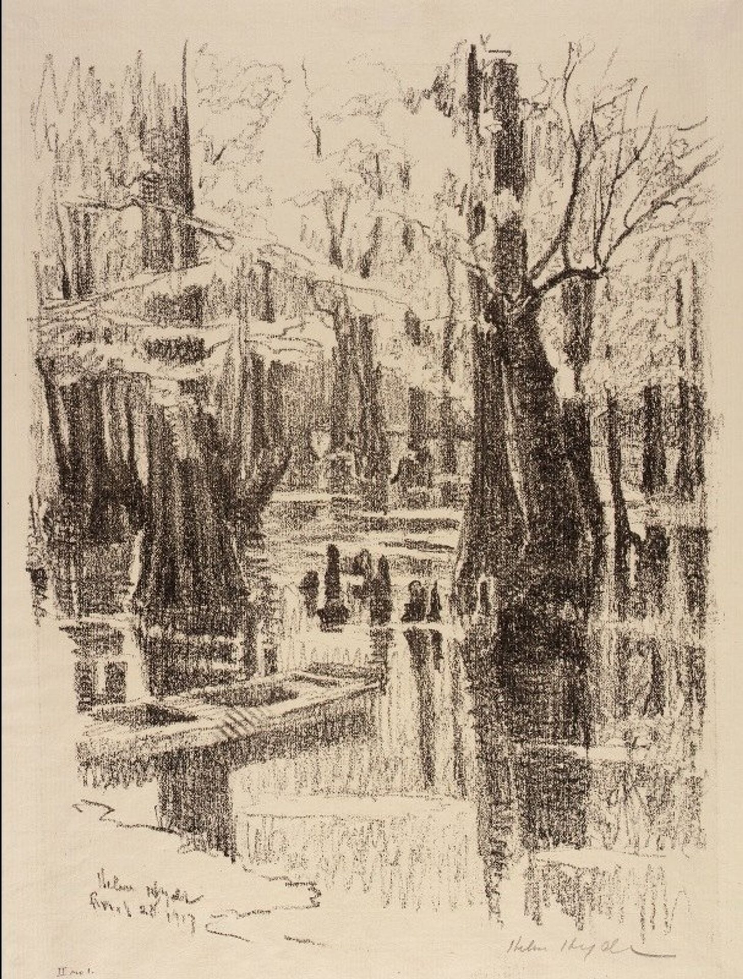 Cypress Swamp by Helen Hyde