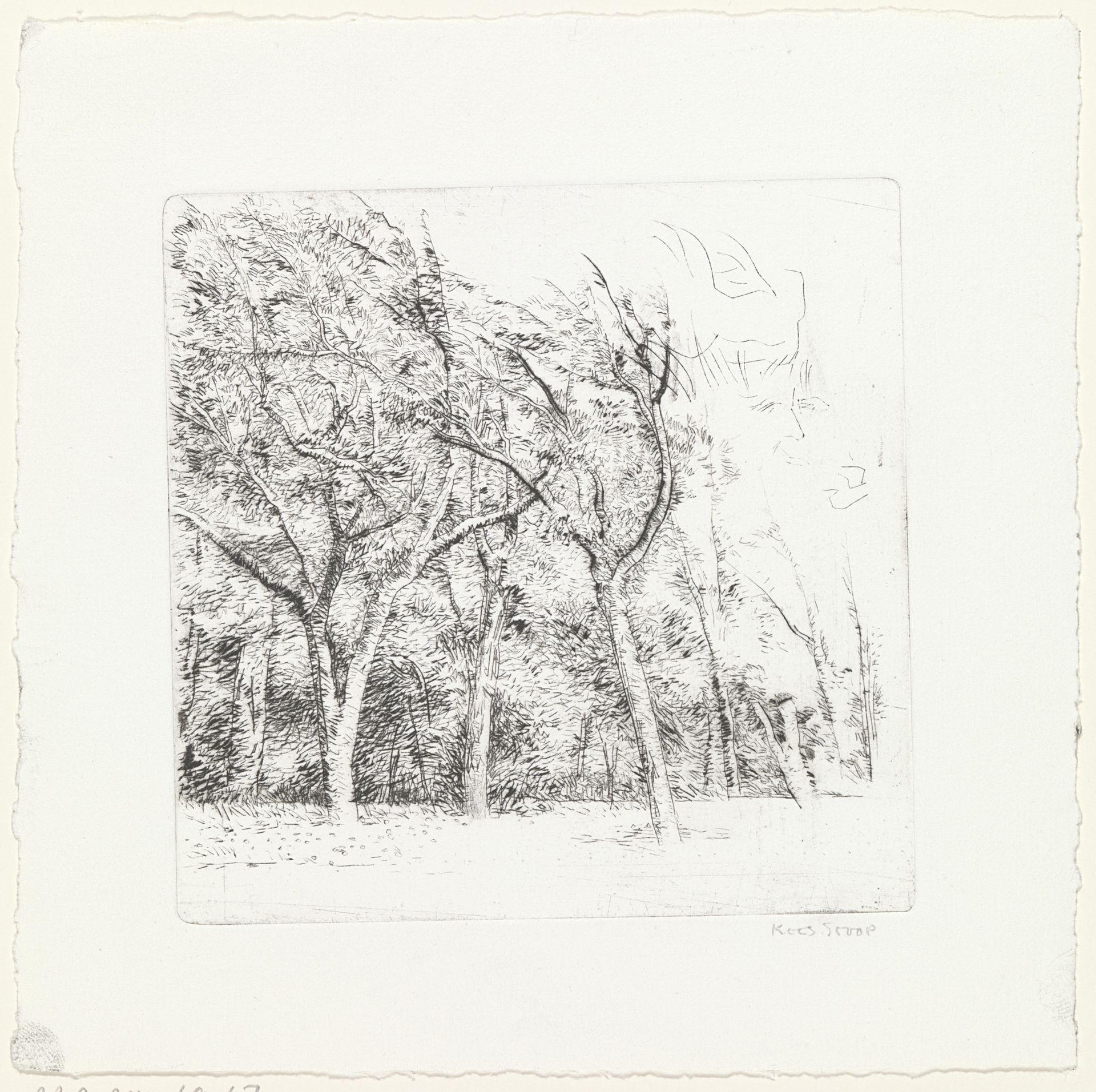 Bomen en gezicht by Kees Stoop