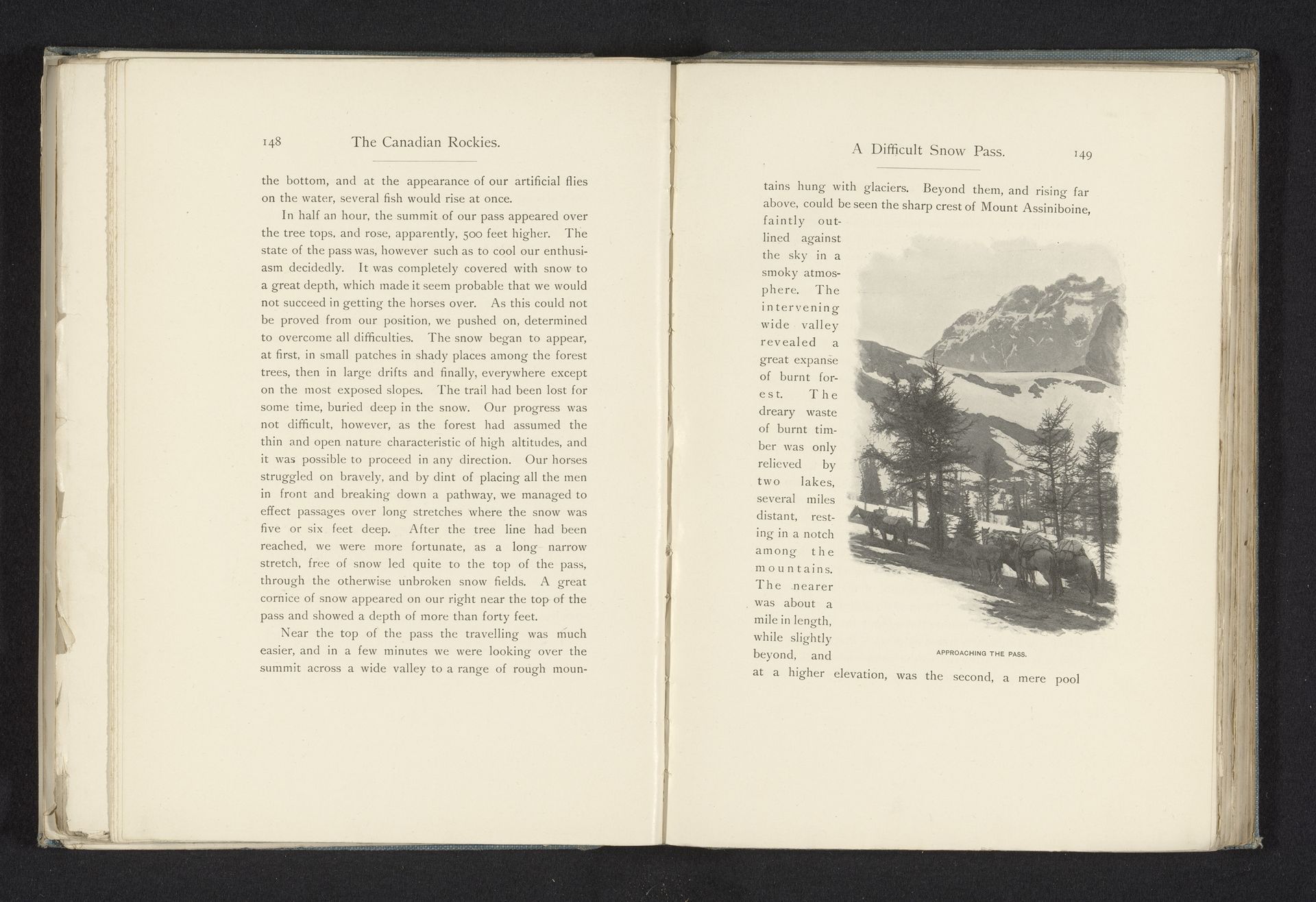 Paarden voor een dal by Walter Dwight Wilcox
