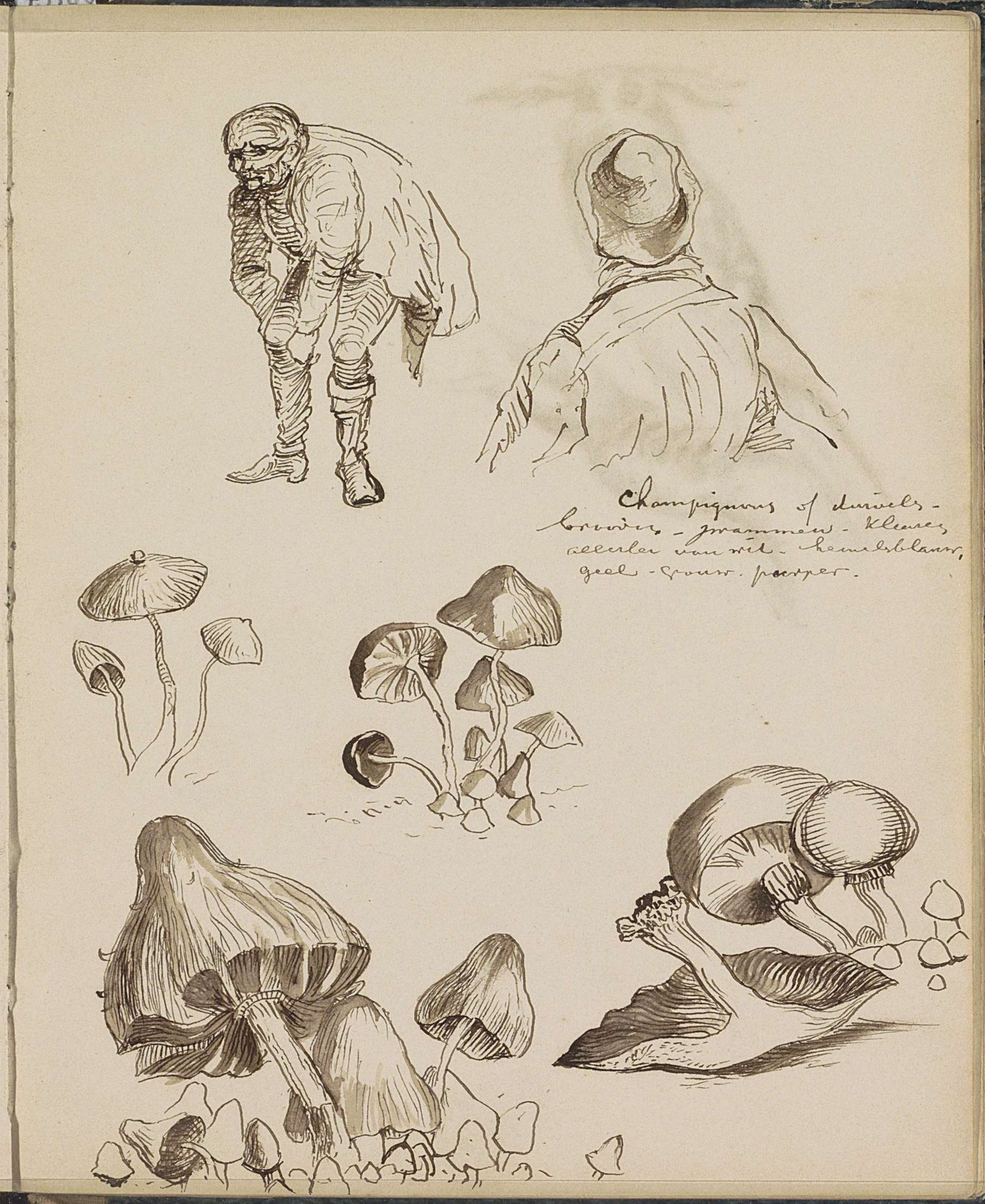 Paddenstoelen by Johannes Tavenraat
