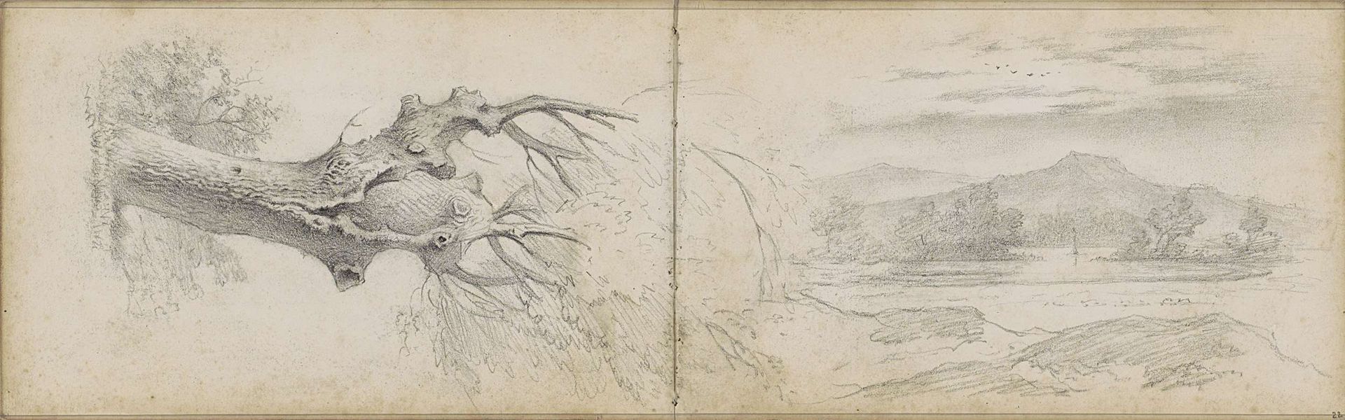 Boom en een heuvellandschap met water by Willem Cornelis Rip