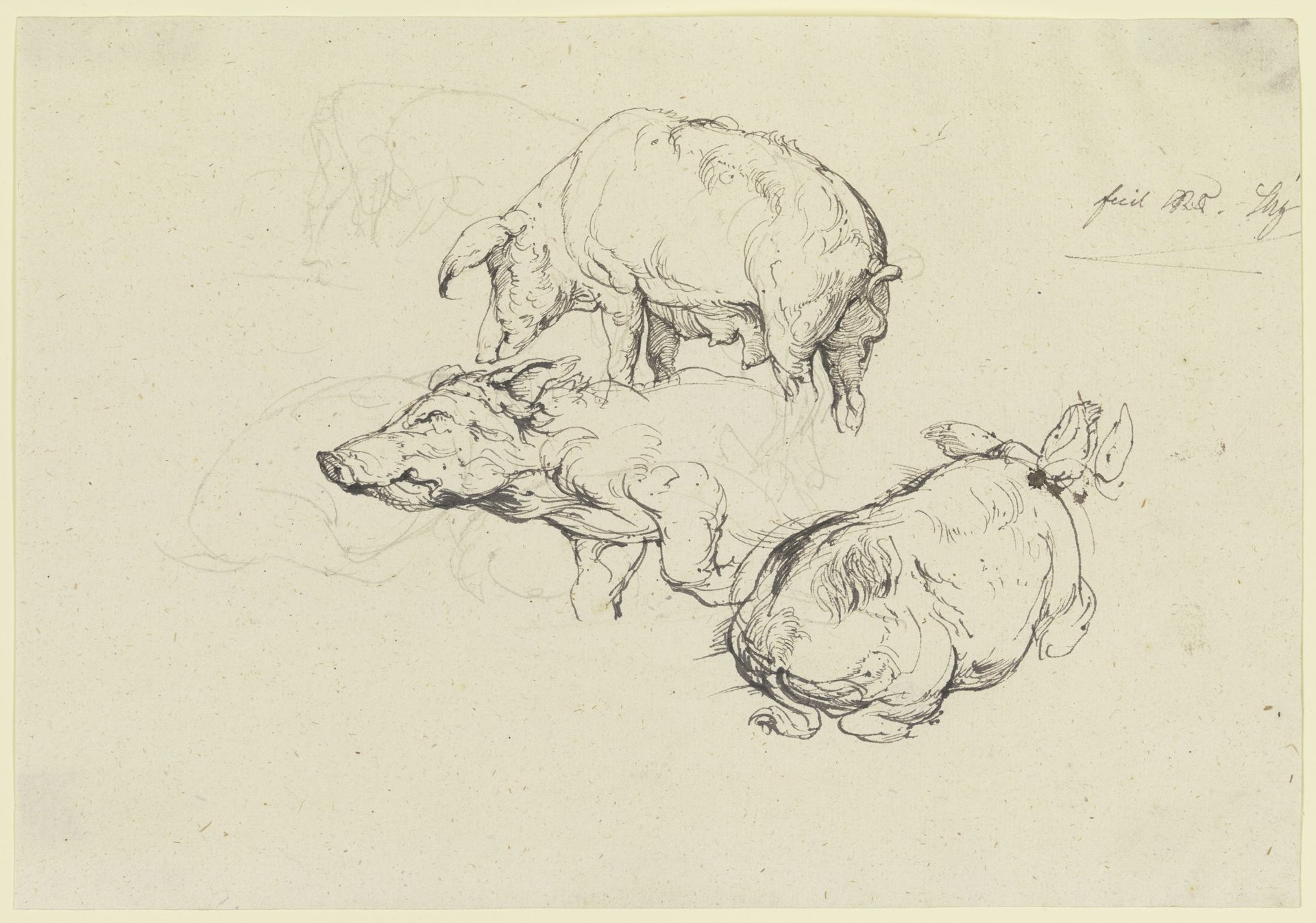 Three pigs by Friedrich Nerly