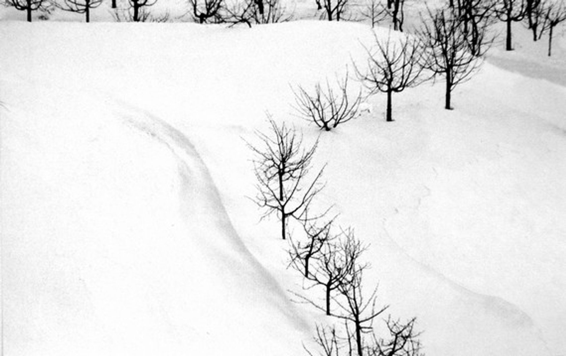 Snow White by Abbas Kiarostami