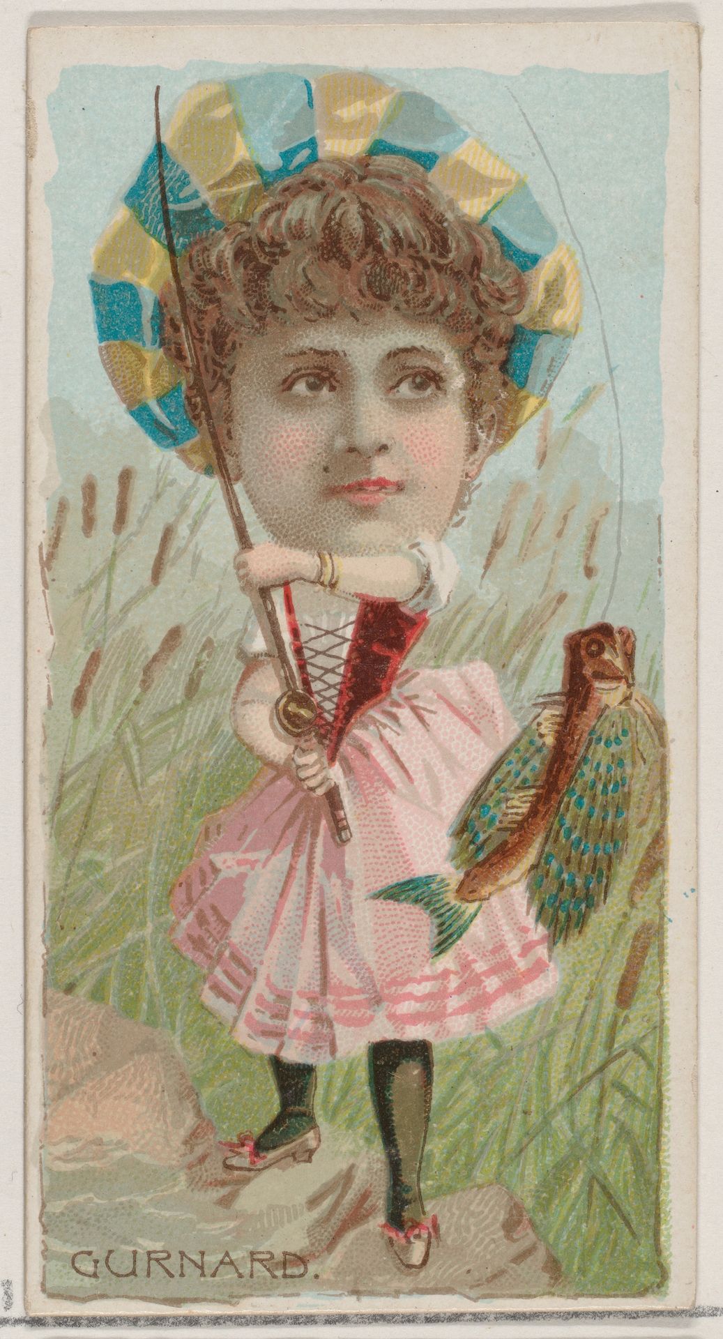 Gurnard, from the series Fishers and Fish (N74) for Duke brand cigarettes by Knapp & Company