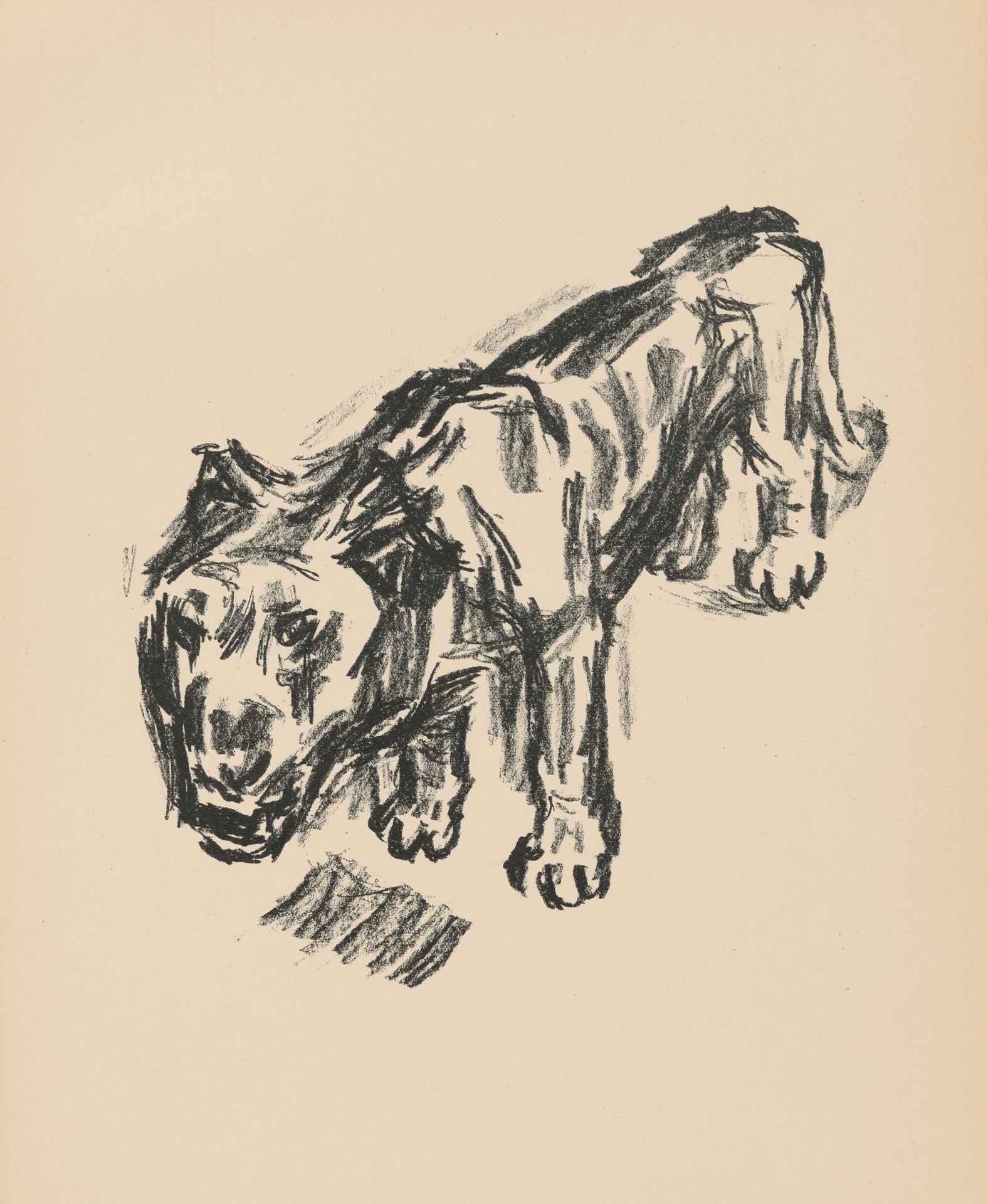 Lowe (Lion) by René Beeh