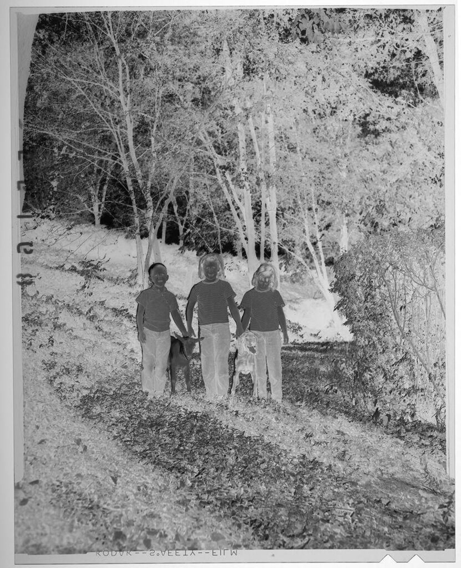 Untitled (three children posed with goat and dog outdoors) by Martin Schweig