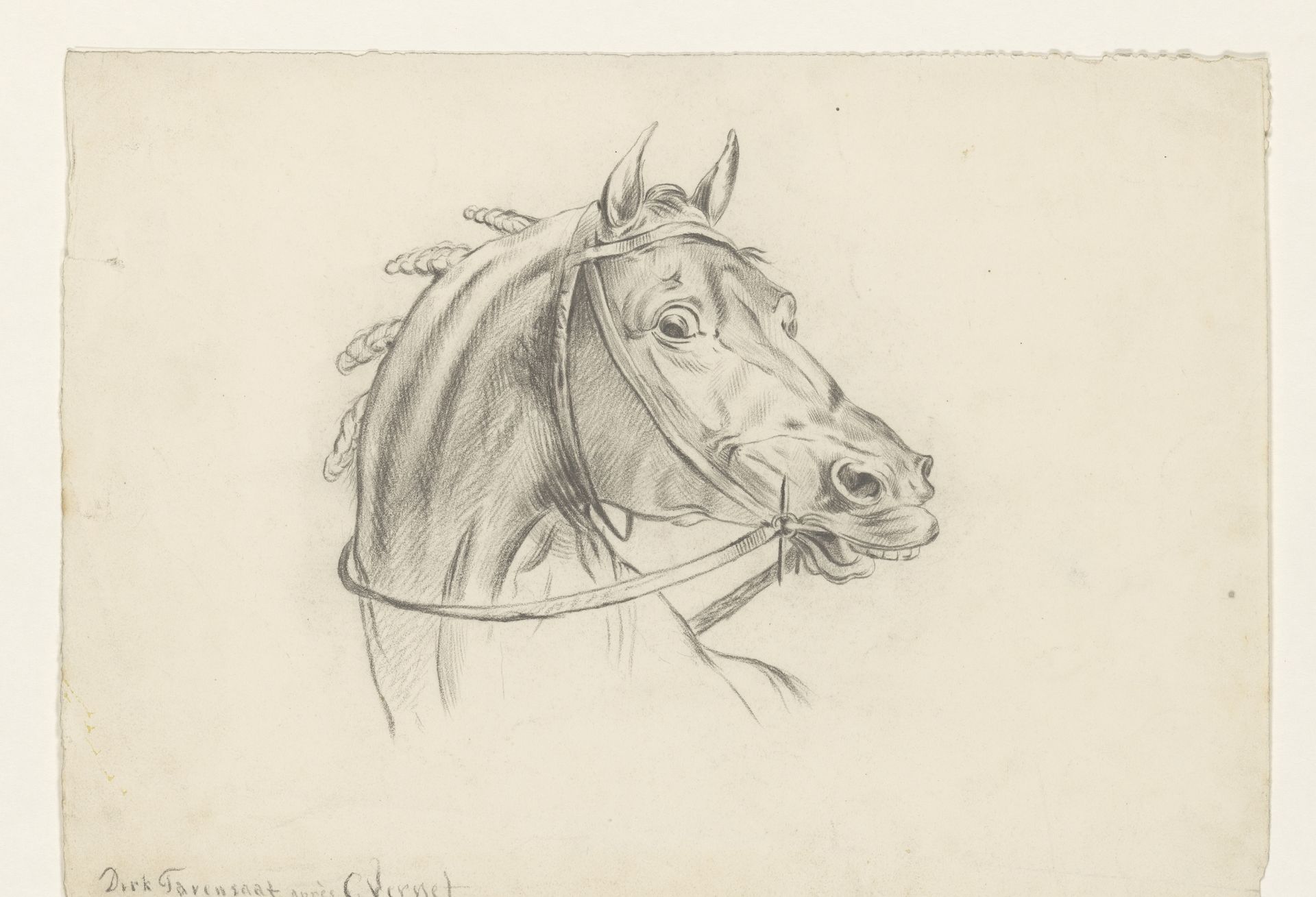 Kop van een paard, naar rechts by Dirk Arnoldus Tavenraat