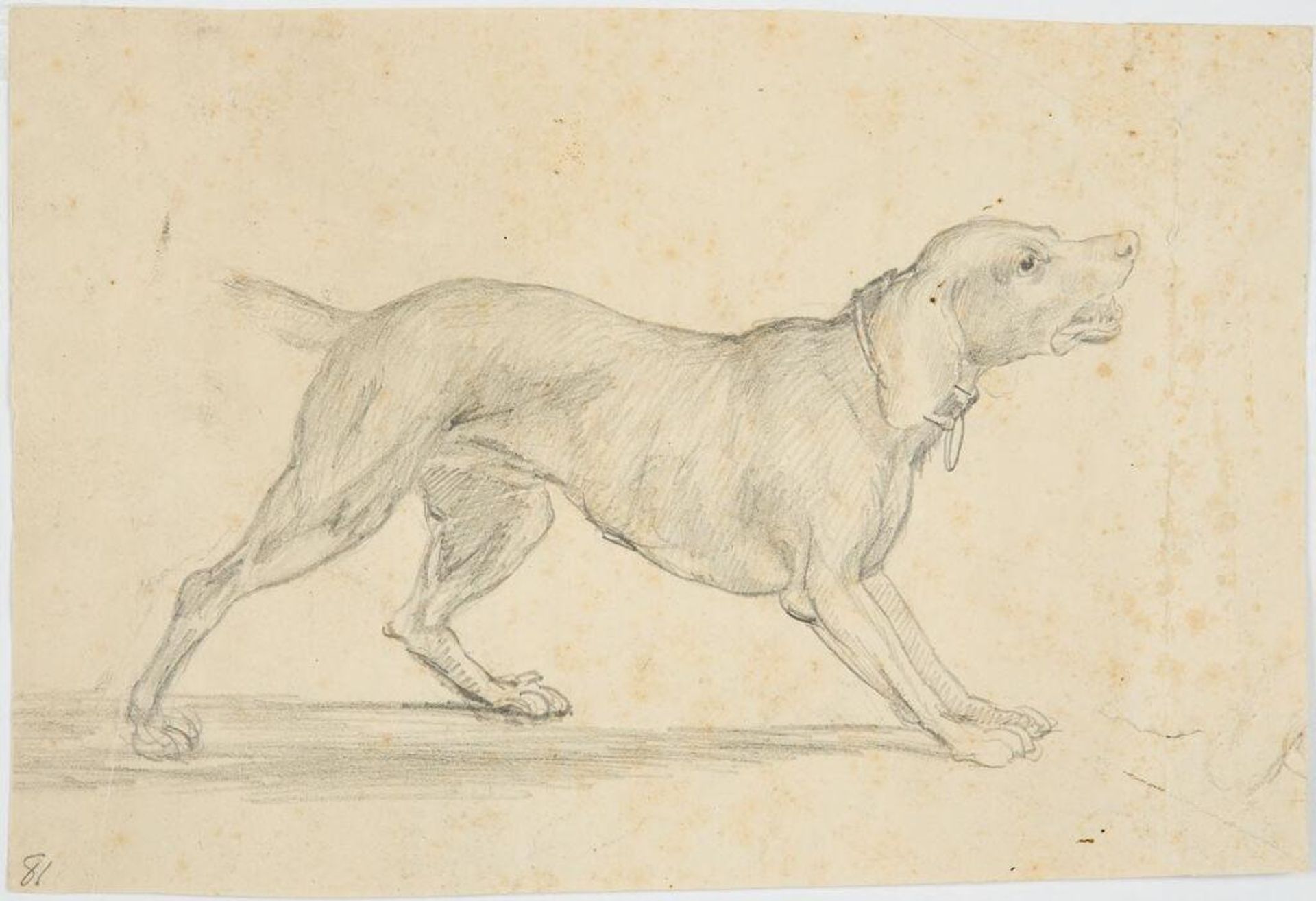Barking Dog in Profile, study for "Falstaff Enlisting his Ragged Regiment..." by Washington Allston
